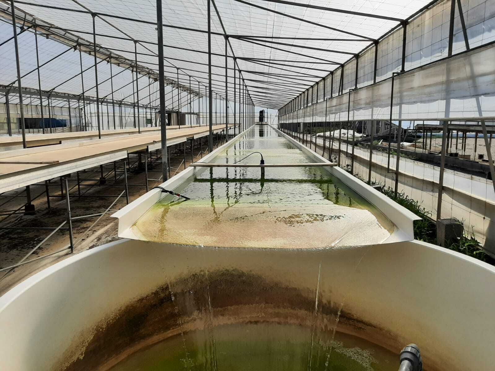 Instalaciones donde se depuran estas aguas residuales.