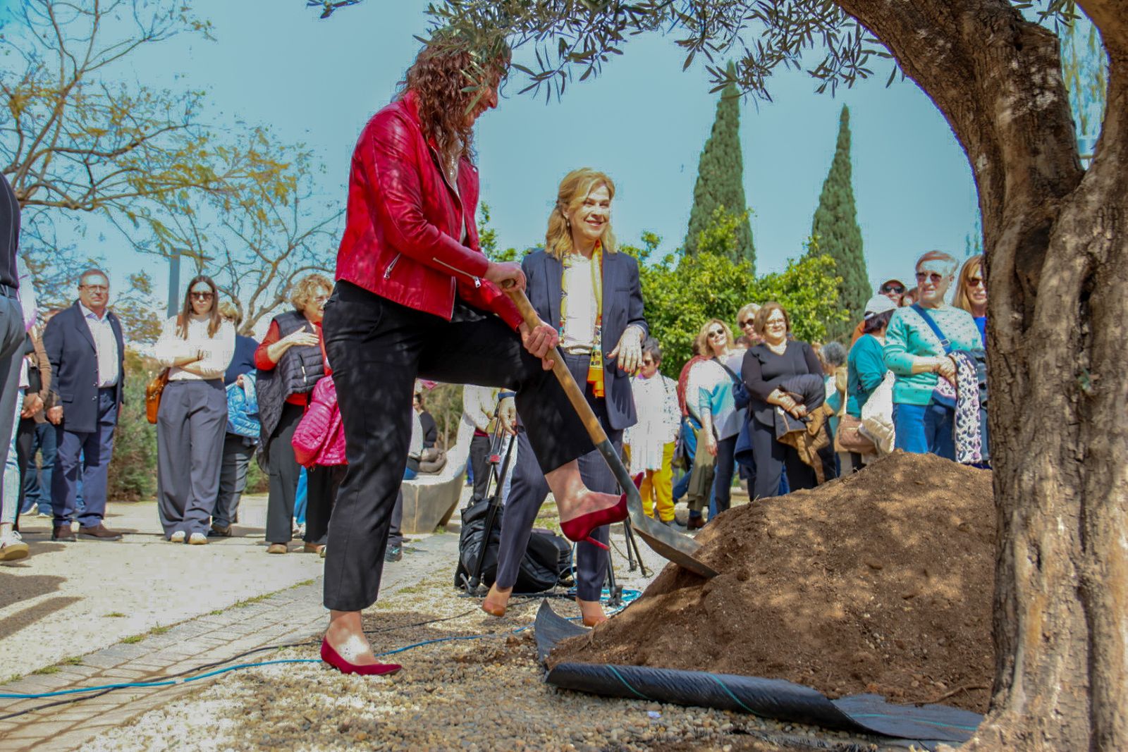 Las imágenes de la plantación de un olivo y el entierro de una cápsula del tiempo
