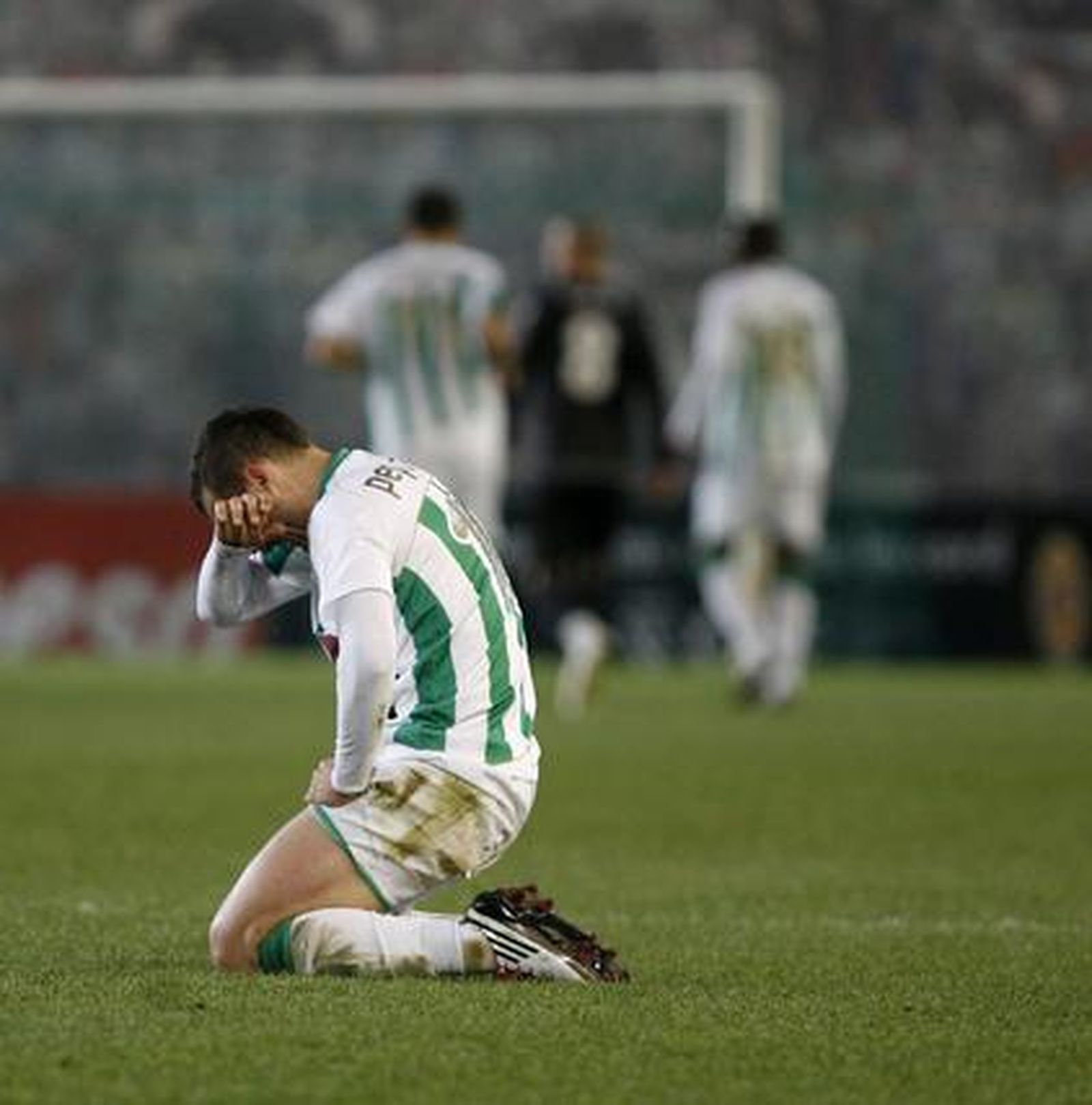 Foto: José Martínez