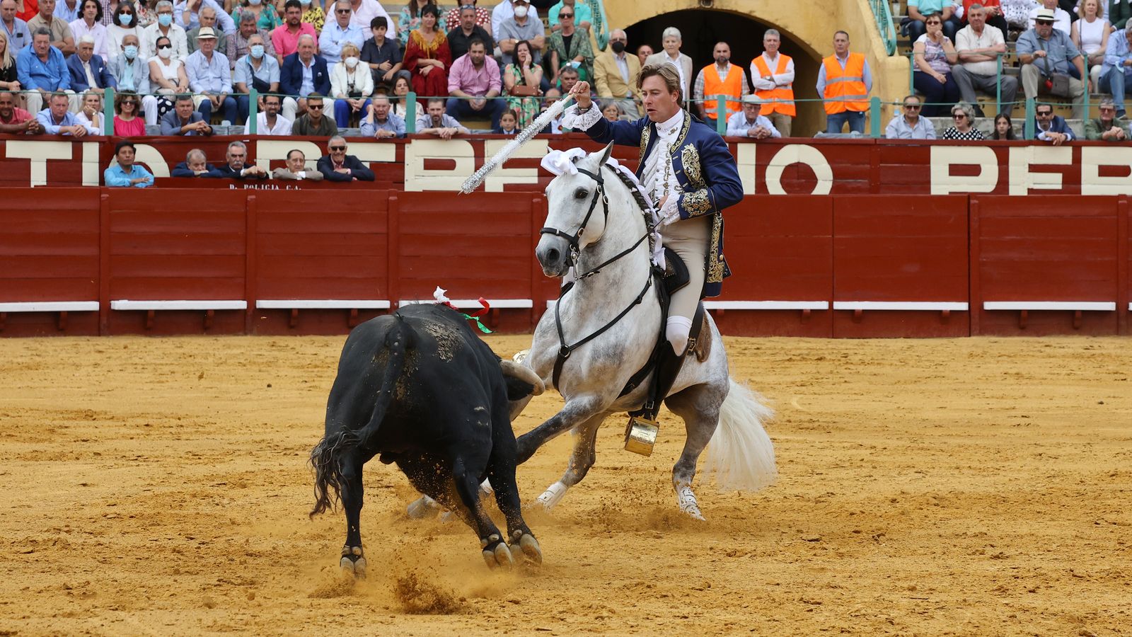 Toros en Jerez: El arte ecuestre