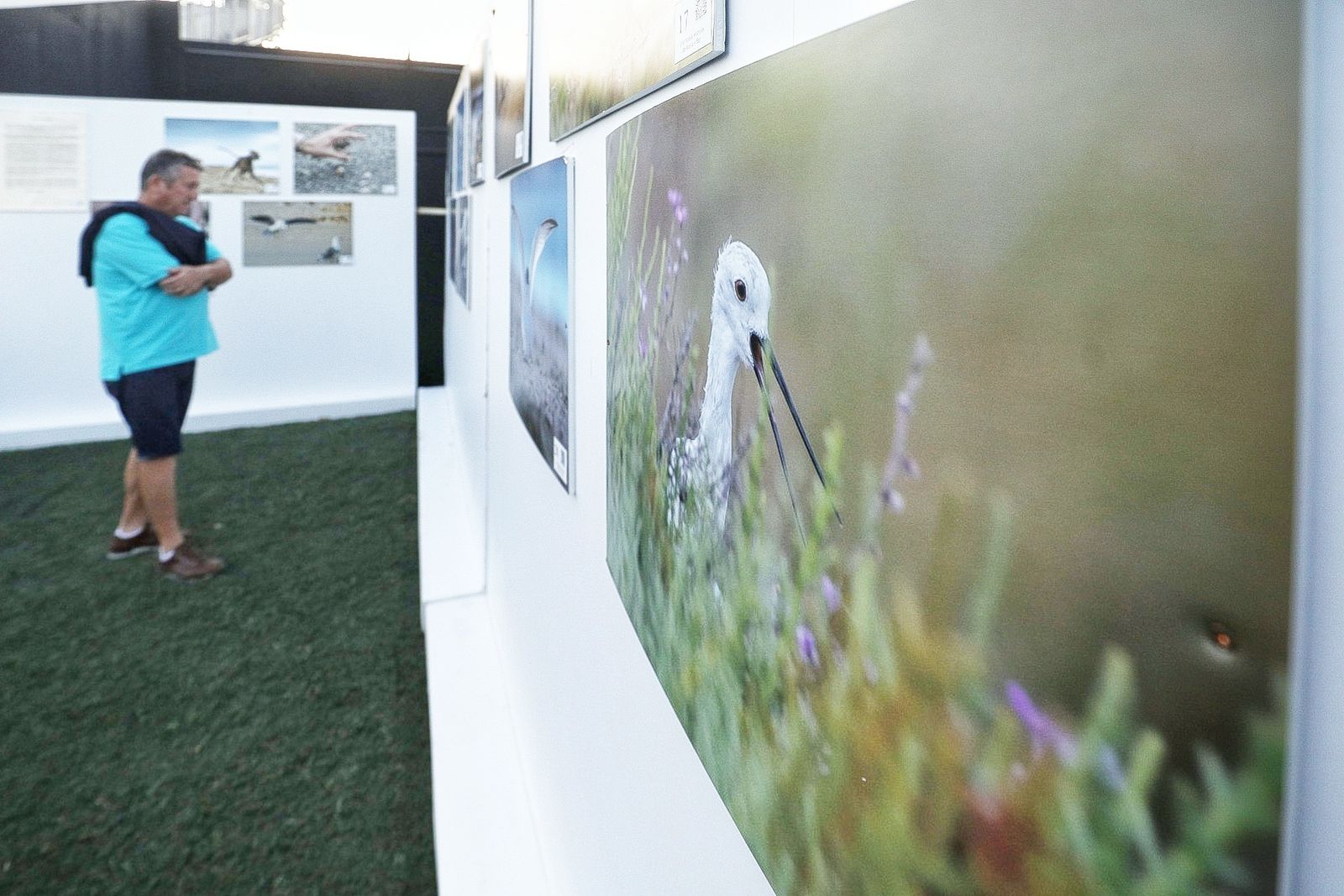 Búscate en la galería del día de Chiclana en el Concert Music Festival