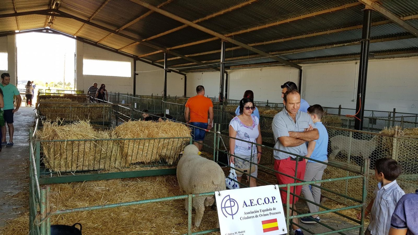 Uno de los ejemplares que se han subastado en la muestra.