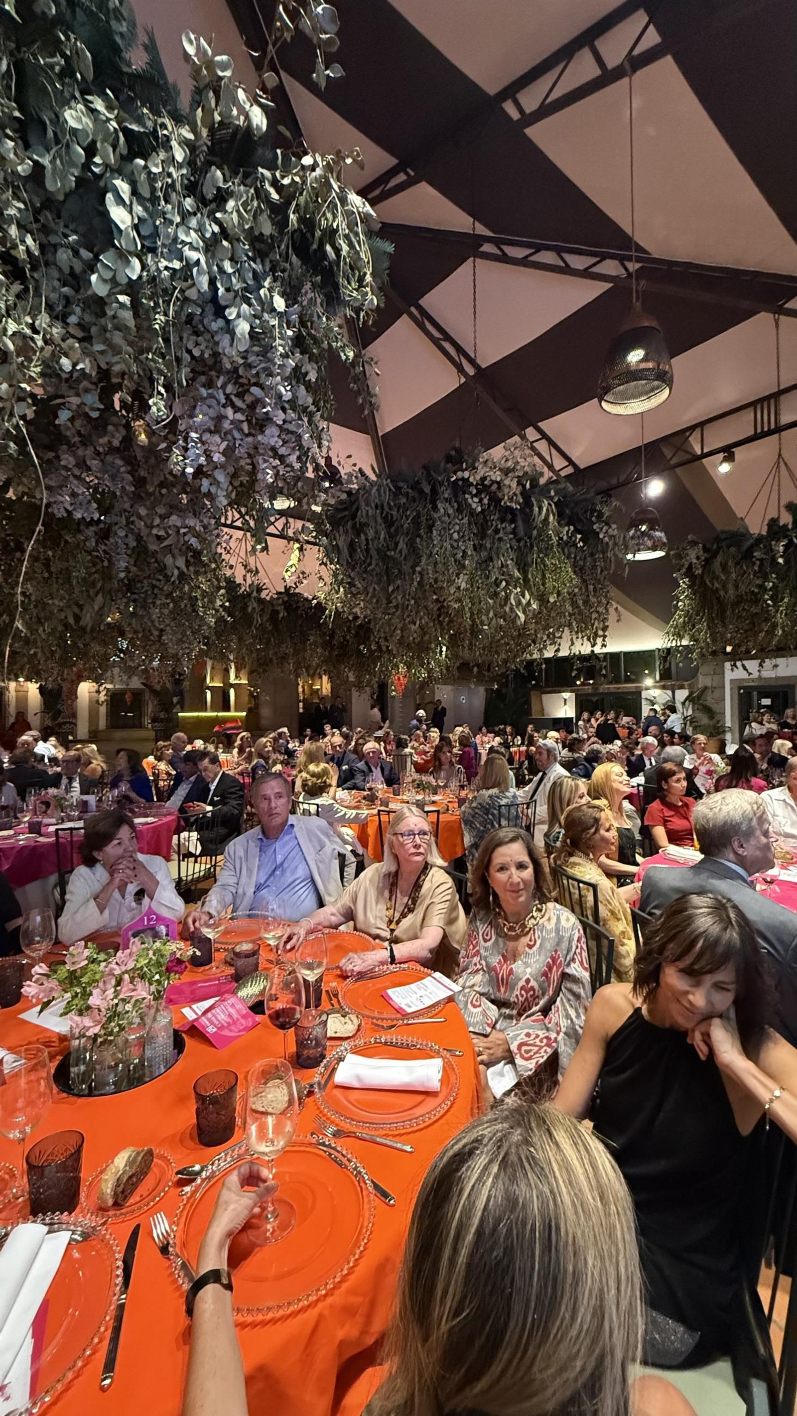 Cena benéfica de la Fundación Esperanza y Alegría. IMG_6619.jpeg