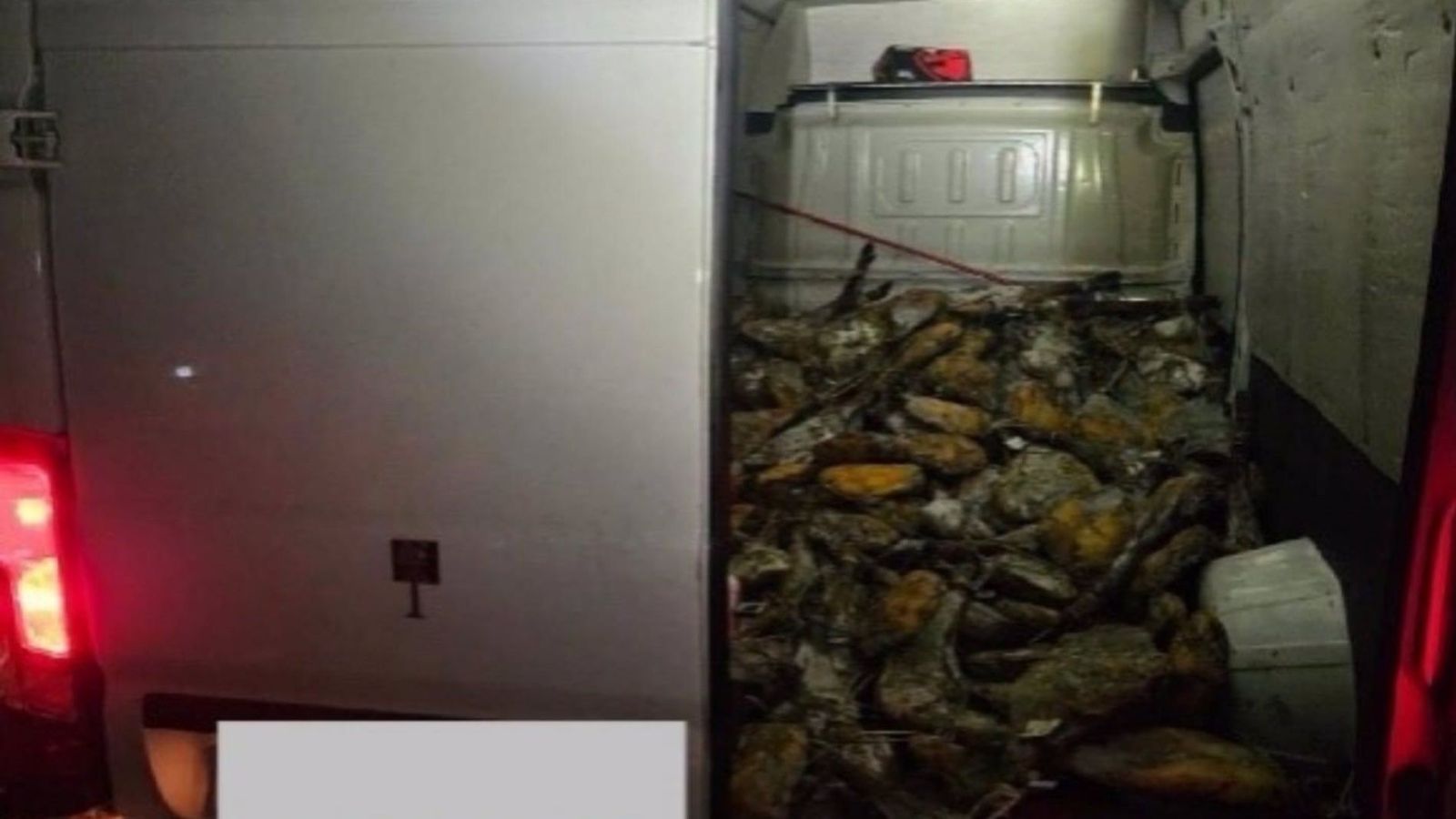 Furgoneta con jamones robados