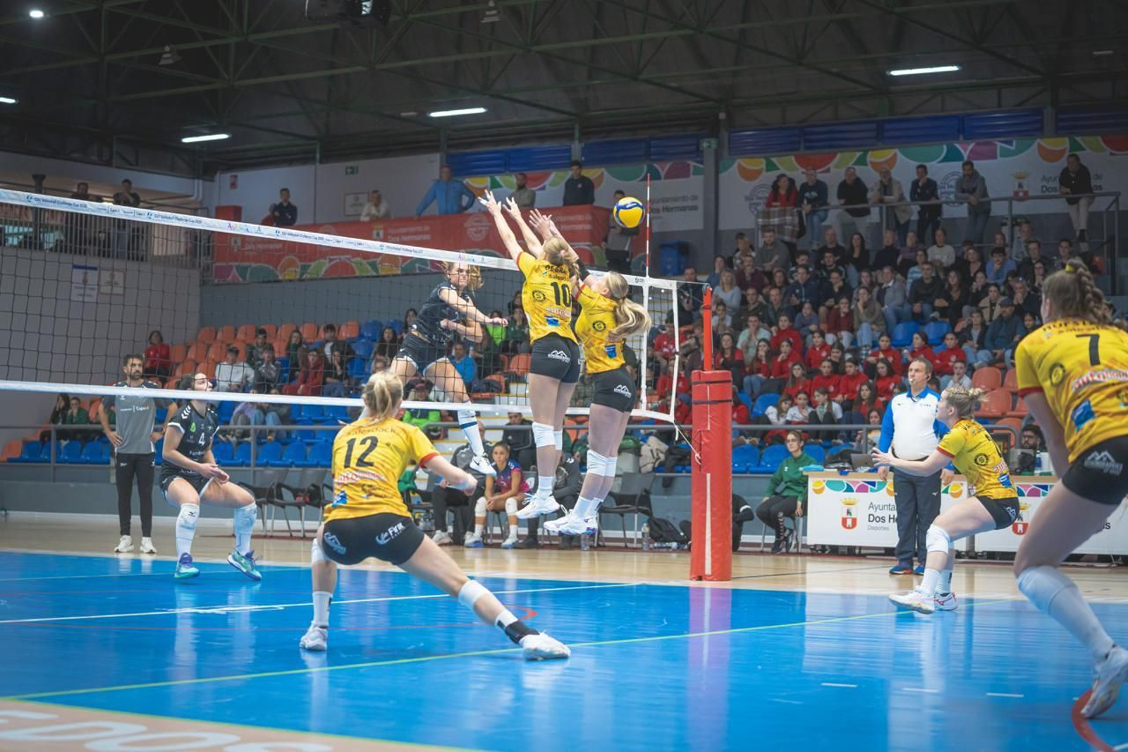 Las fotos del Fundación Cajasol Andalucía-Dynamo Apeldoorn