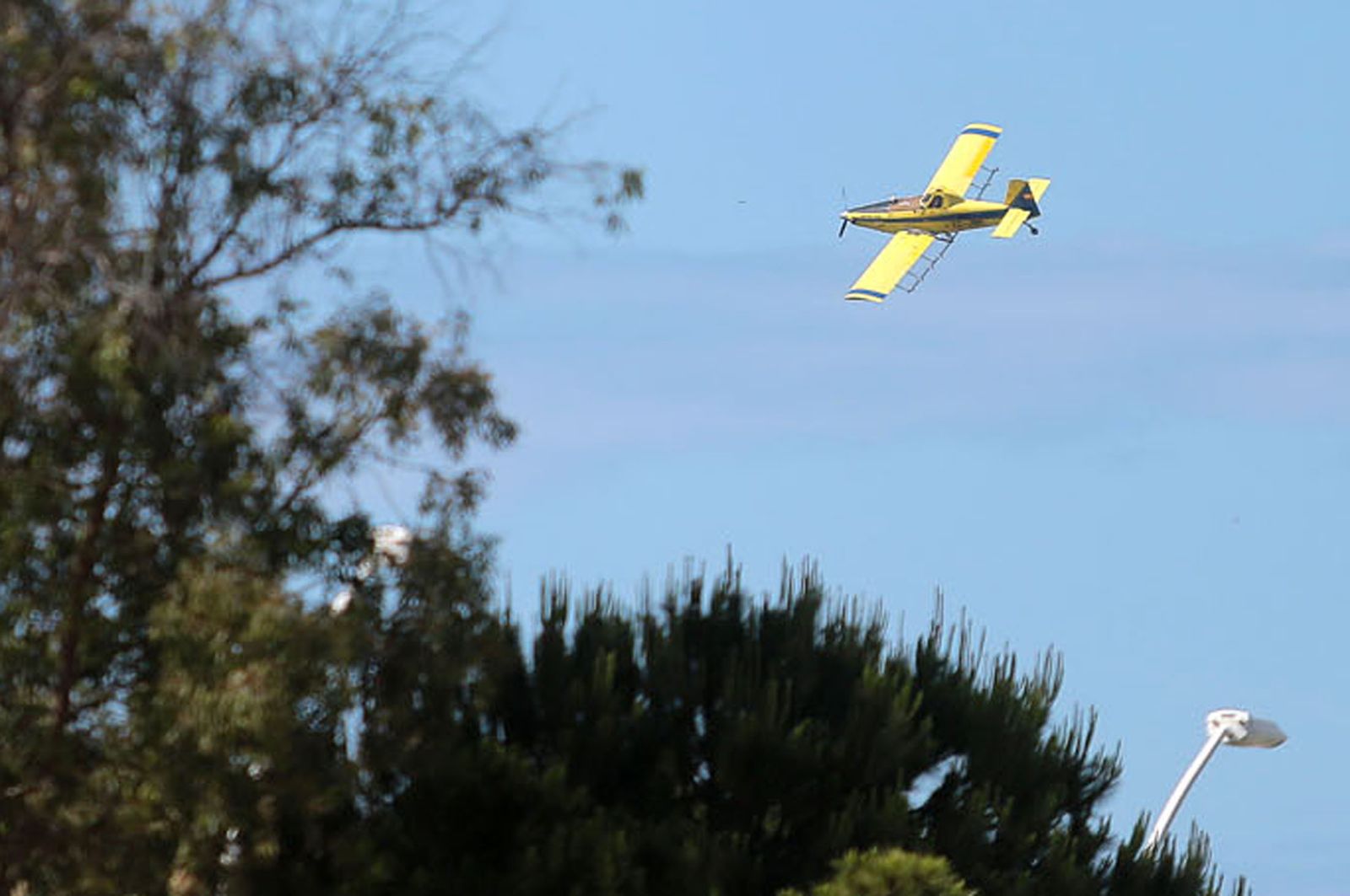 Imágenes del ambiente en Huelva en la mañana del sábado