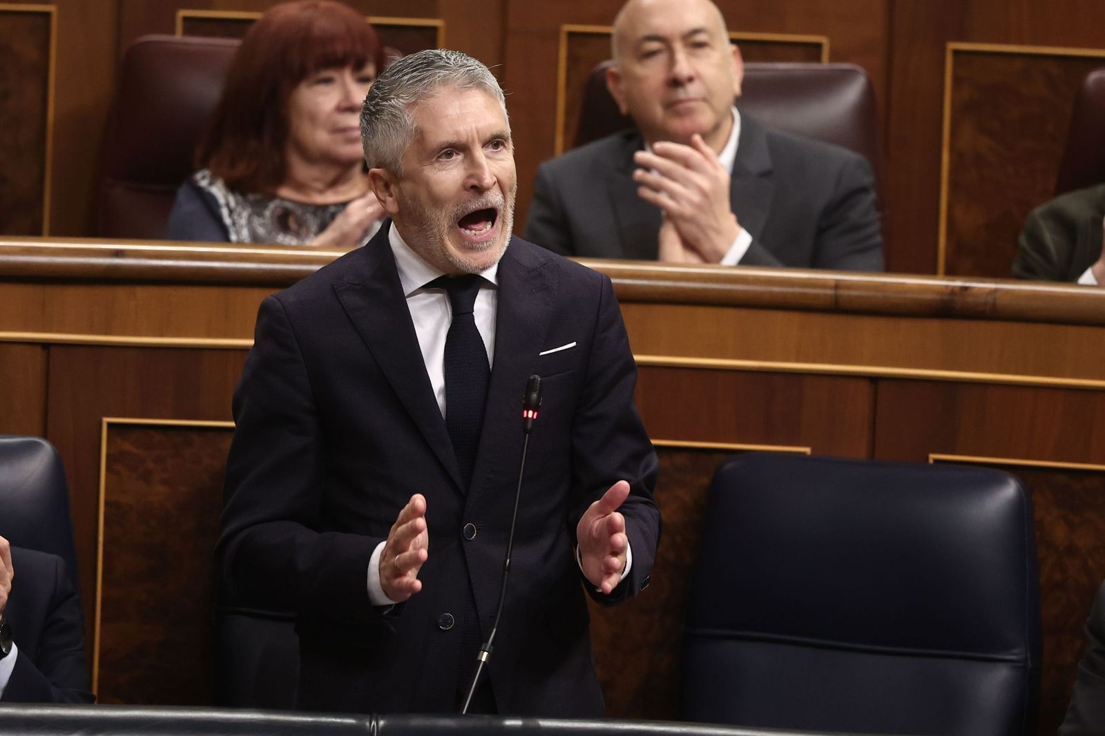 Fernando Grande-Marlaska, en el Pleno del Congreso.