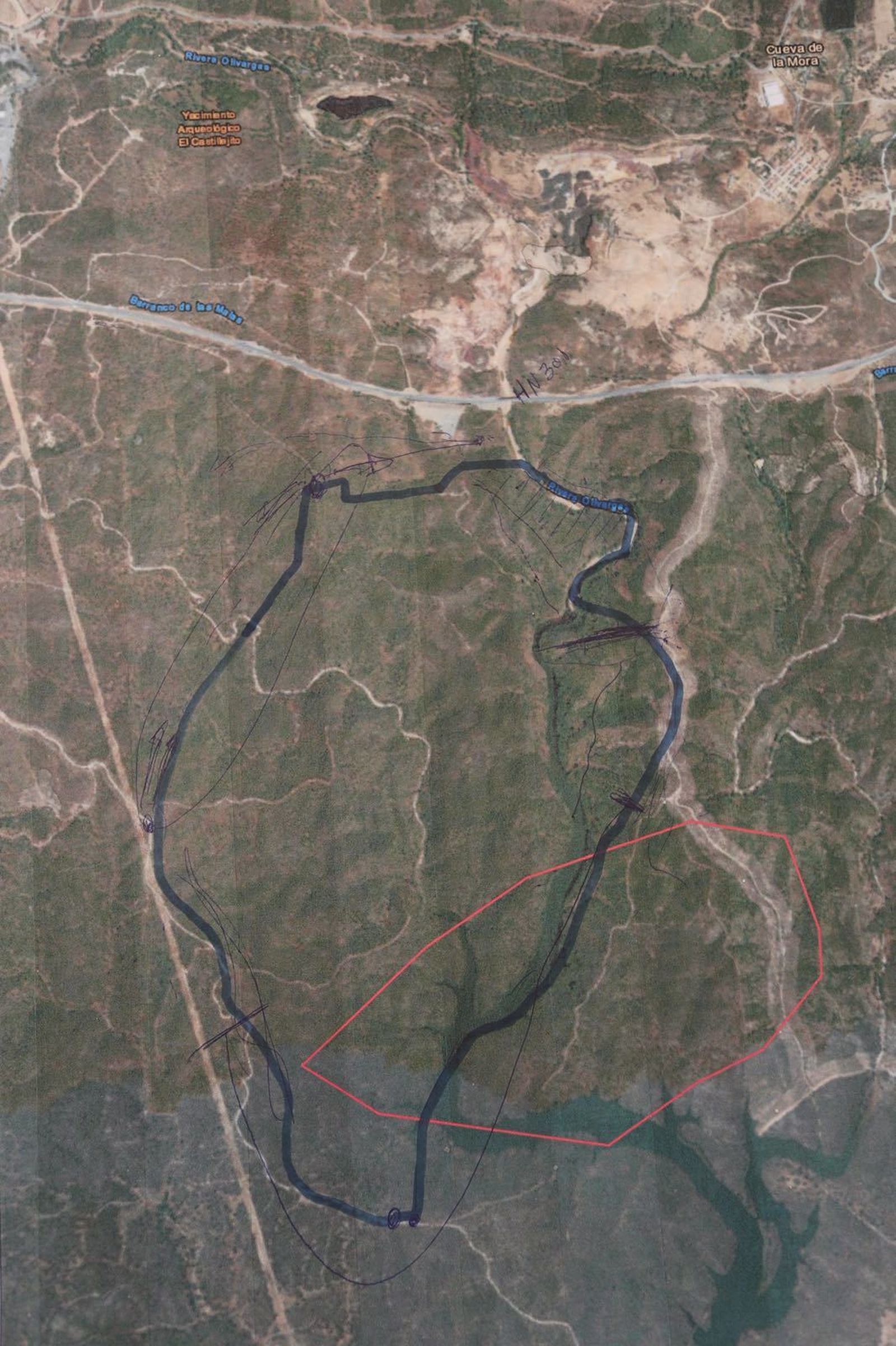 Los trabajos del Infoca en el incendio de Almonaster