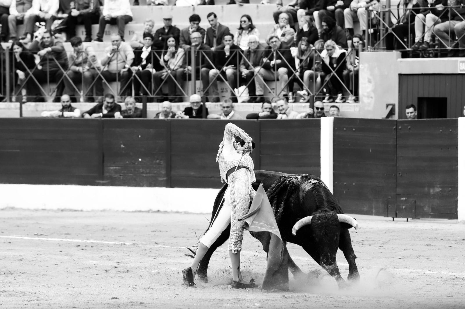 Imágenes de la novillada previa a la Semana Santa en la plaza de toros de La Línea