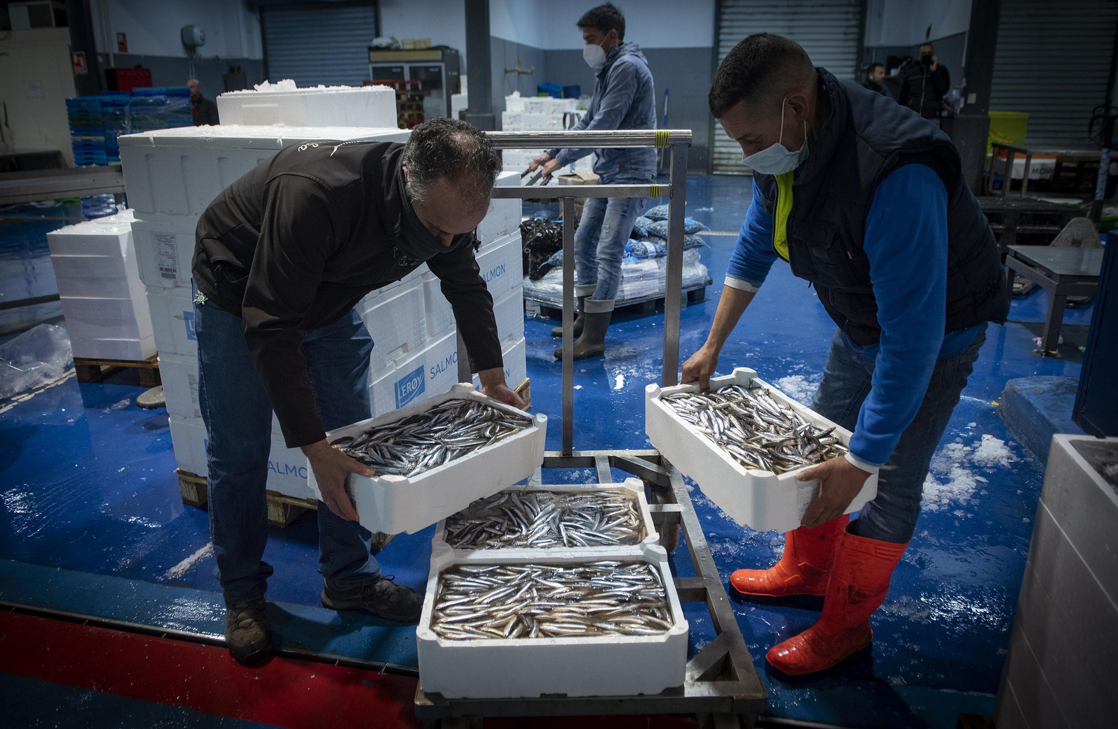 Mercasevilla en imágenes