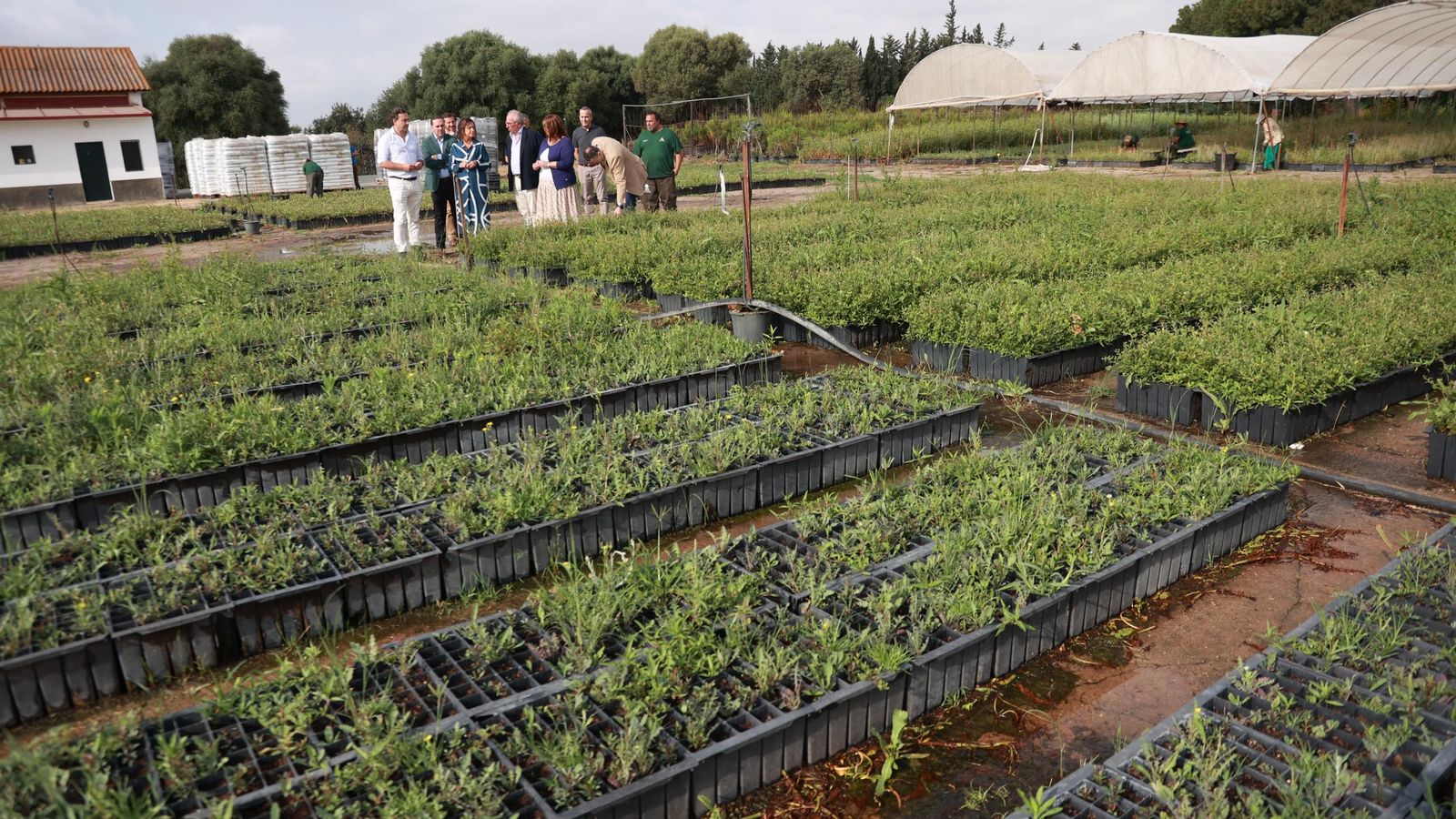 Visita de la Junta al vivero de San Jerónimo