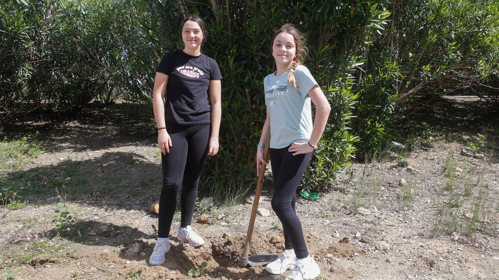 Fotografías de la plantación del programa 'Reverdece' de Acerinox Fotografías de la plantación del programa 'Reverdece' de Acerinox