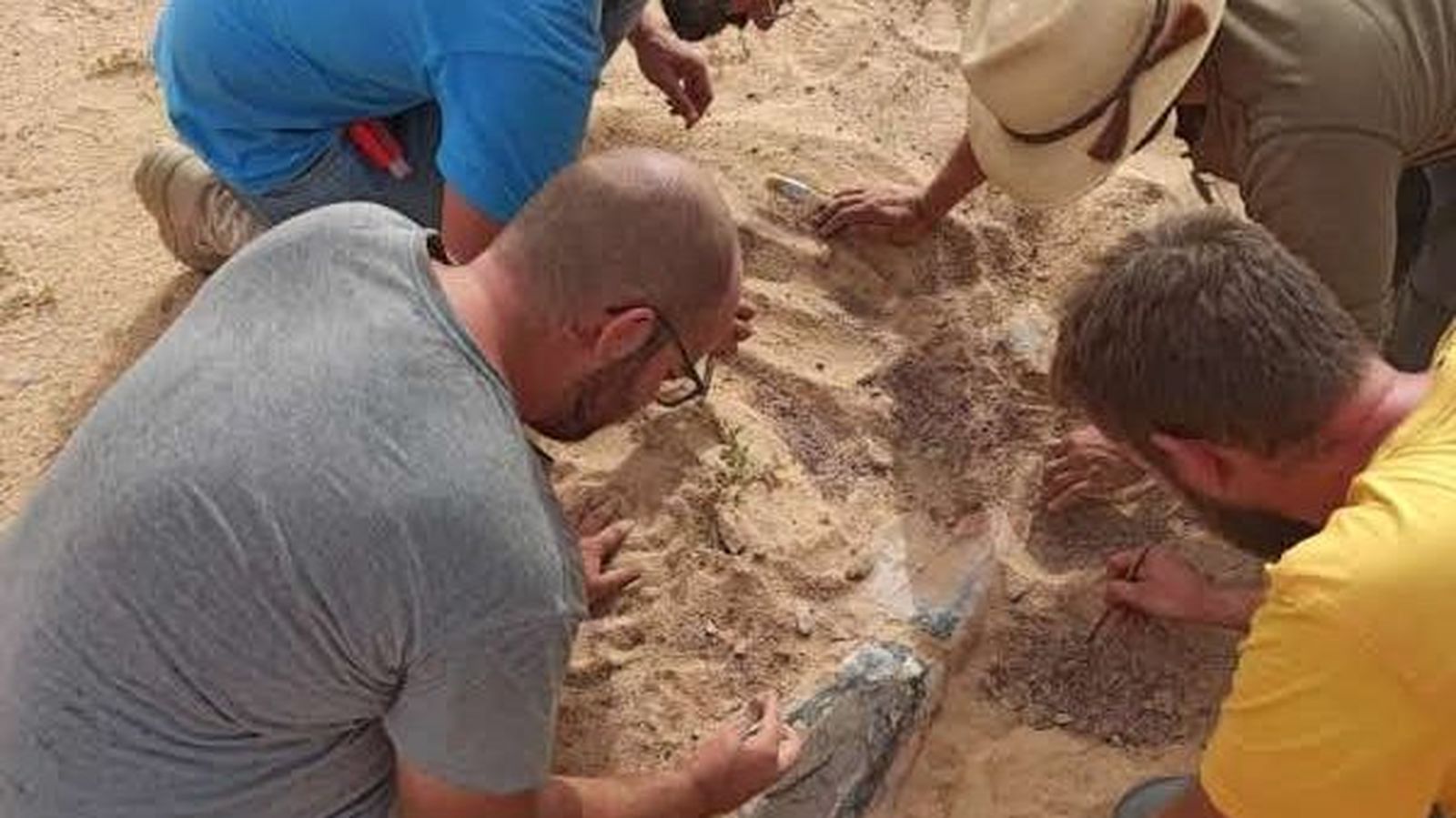 Descubrimiento de un cráneo de Spinosaurus mirabilis en Níger