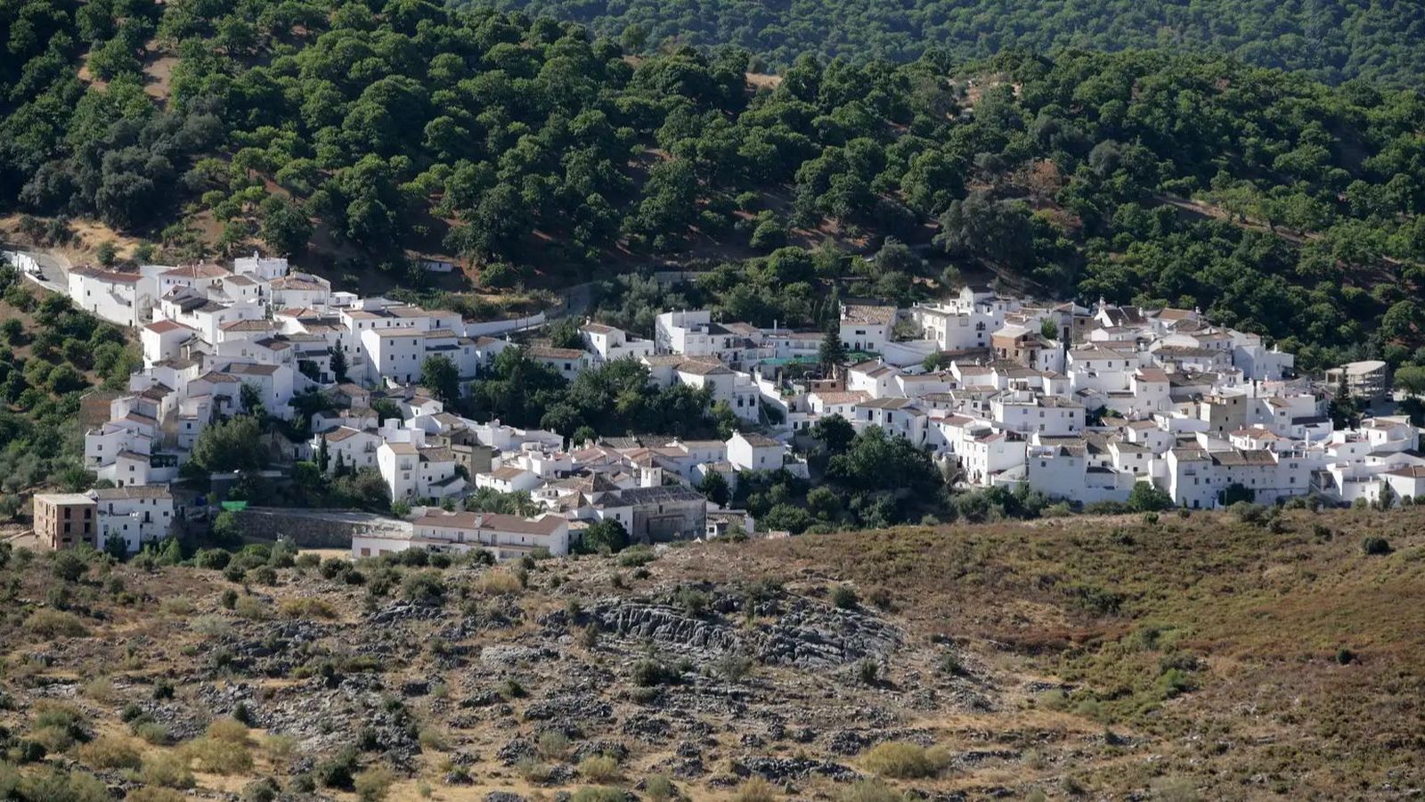 Municipio de Parauta