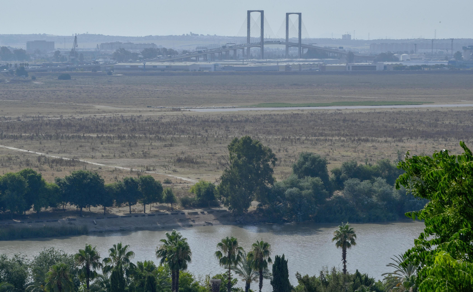 Nueve asociaciones reclaman el Anillo Verde de Sevilla "que duerme en los cajones de la administración"