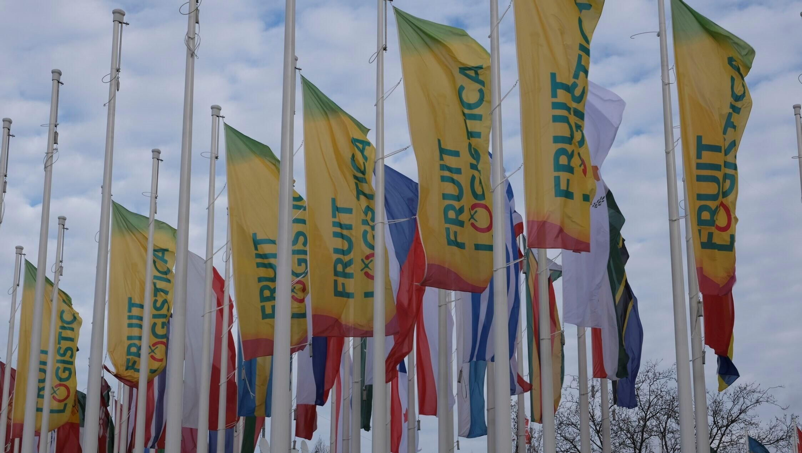 Entrada de la feria Fruit Logistica 2024.