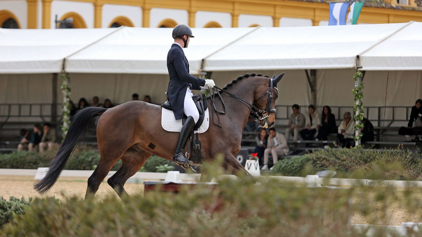 Concurso Internacional de Doma Clásica en La Real Escuela de Jerez