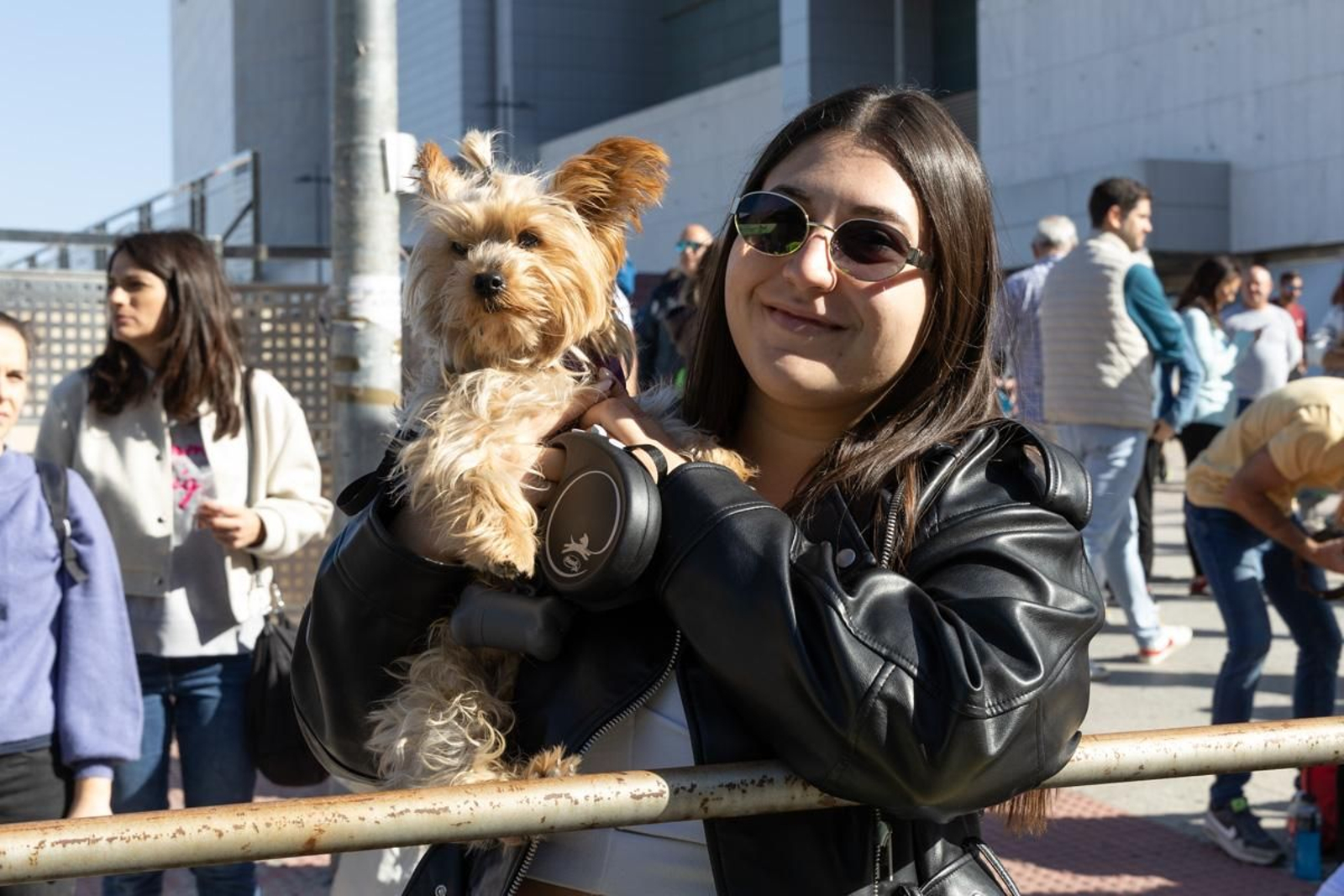Éxito participativo en la XXVIII Media Maratón 'Ciudad de Jaén', en imágenes