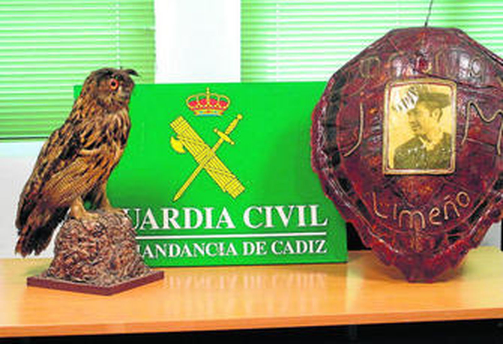 Animales disecados que la Guardia Civil ha intervenido.