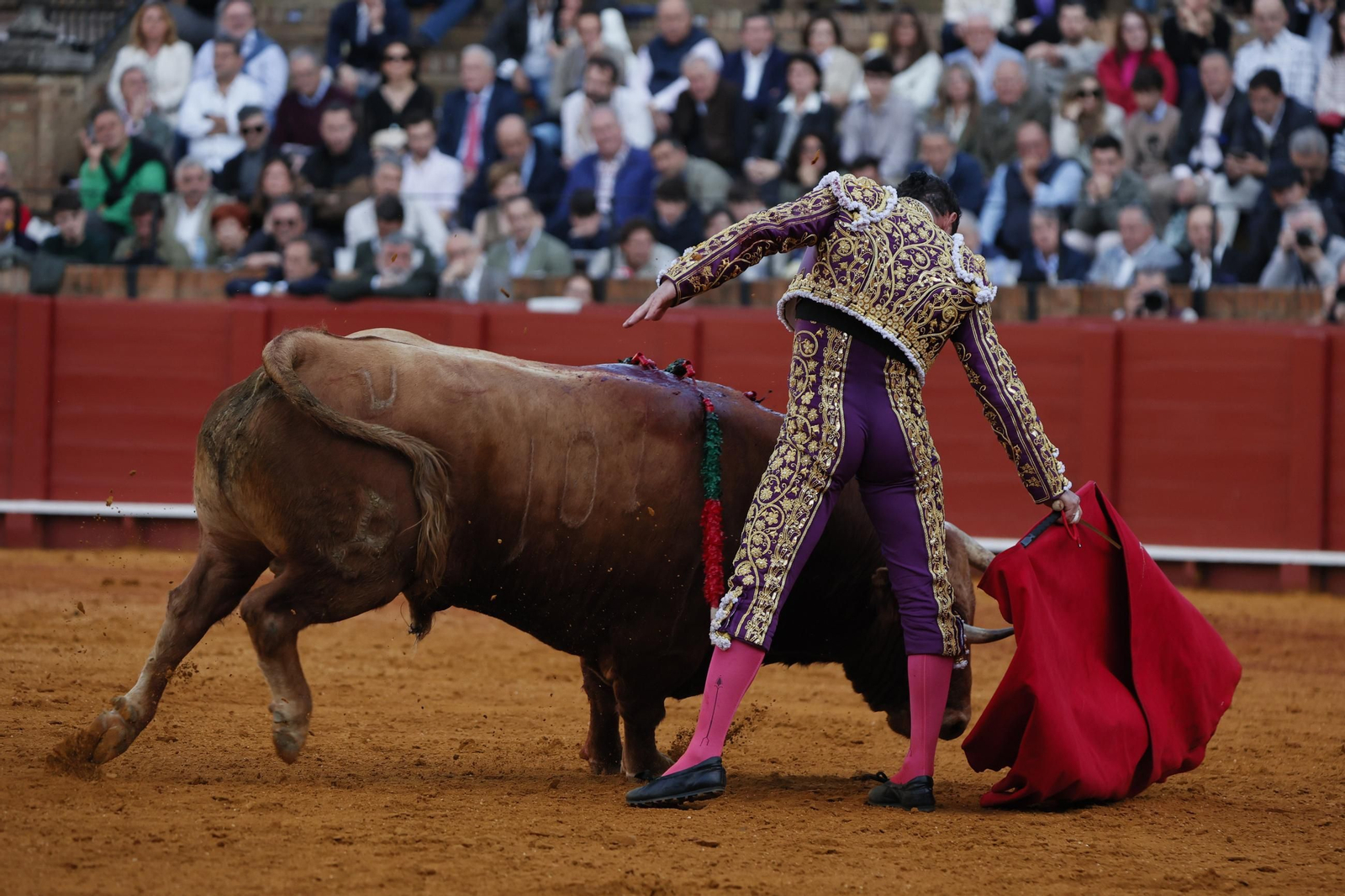 Las Imágenes del festejo