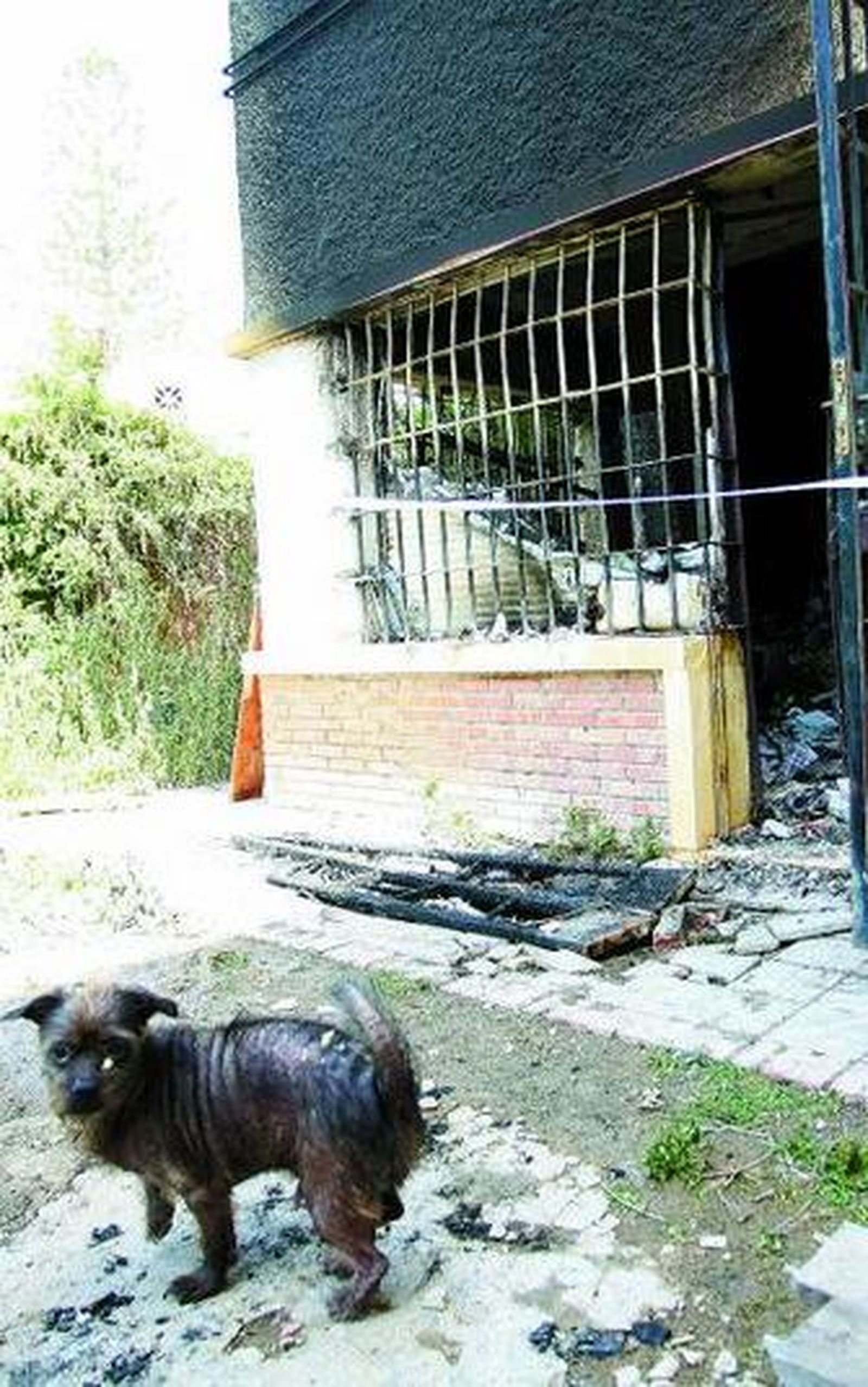 Imagen del local incendiado en el barrio de El Palo.