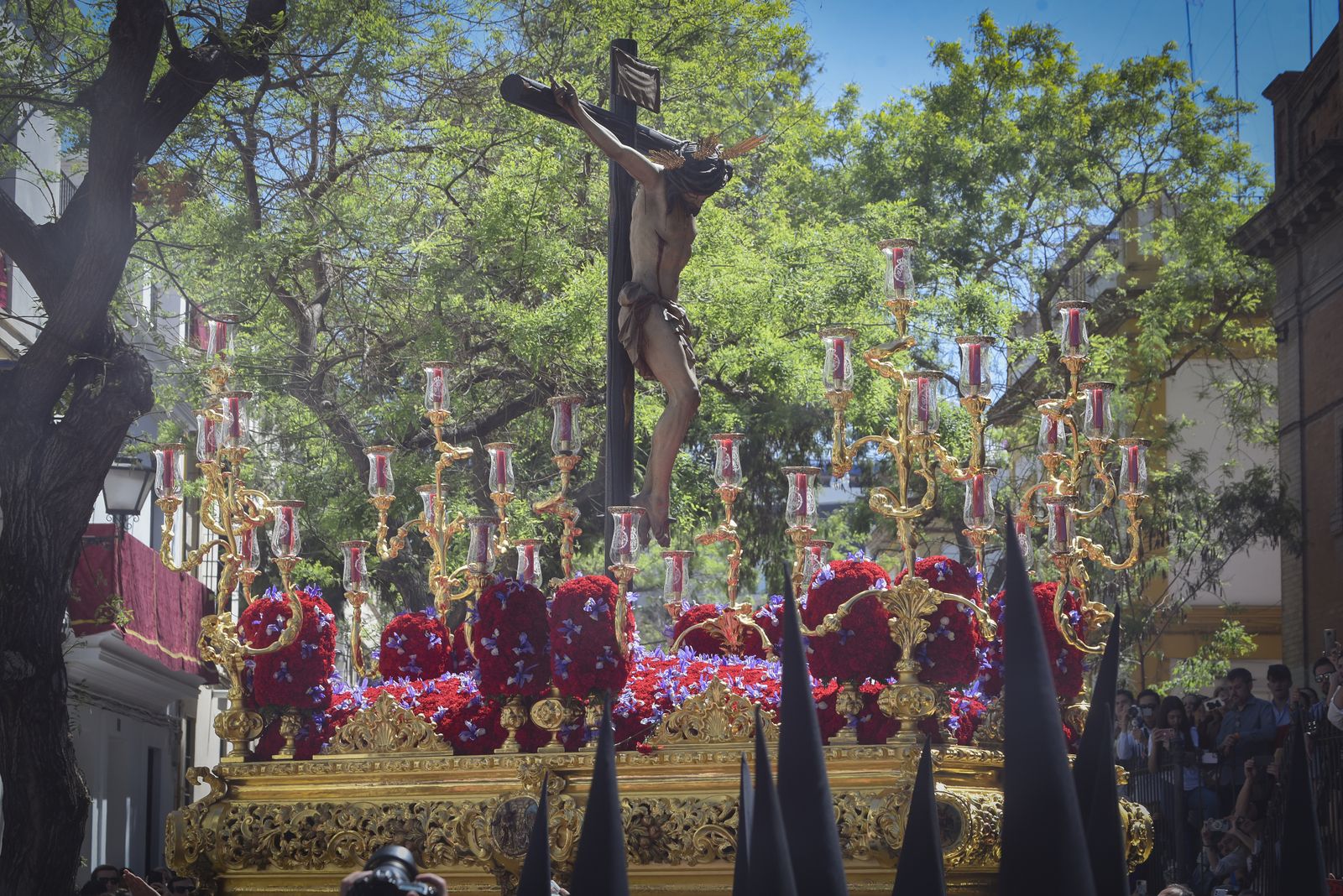 La Hermandad de San Bernardo, en imágenes