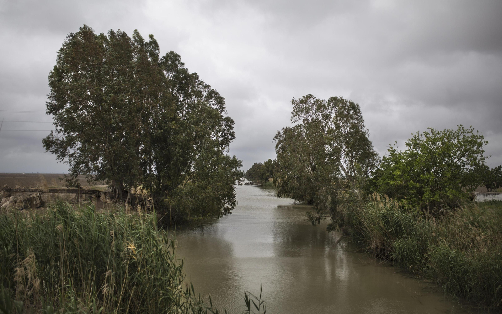 Marismas del Guadalquivir, un paisaje de cine