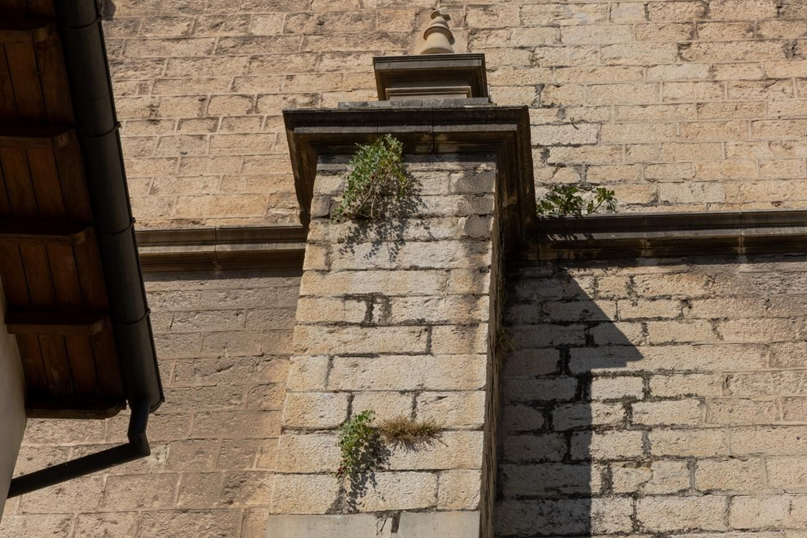Suciedad y hierbajos toman el entorno de la Catedral de Jaén