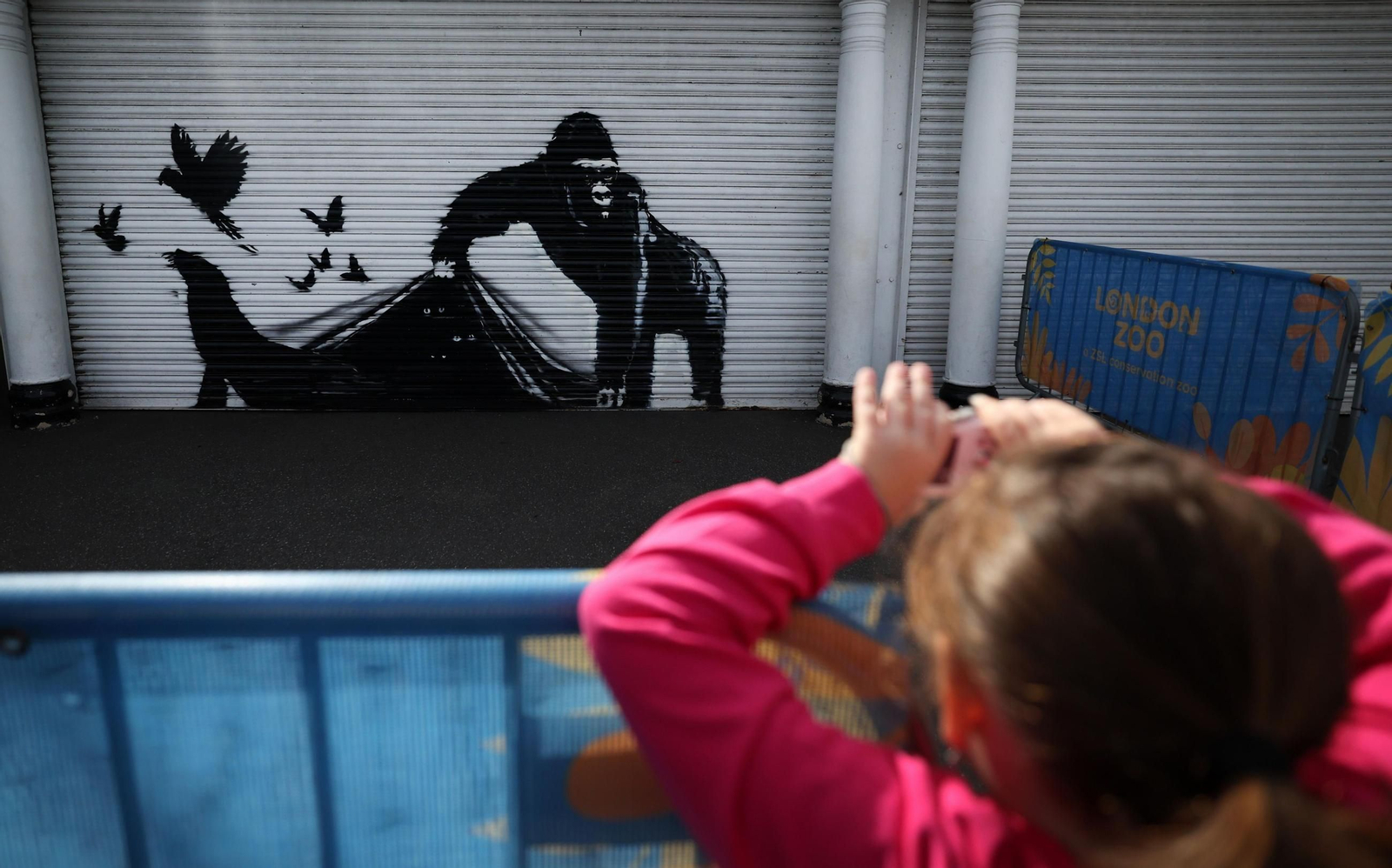 La serie animal del artista Banksy, al completo
