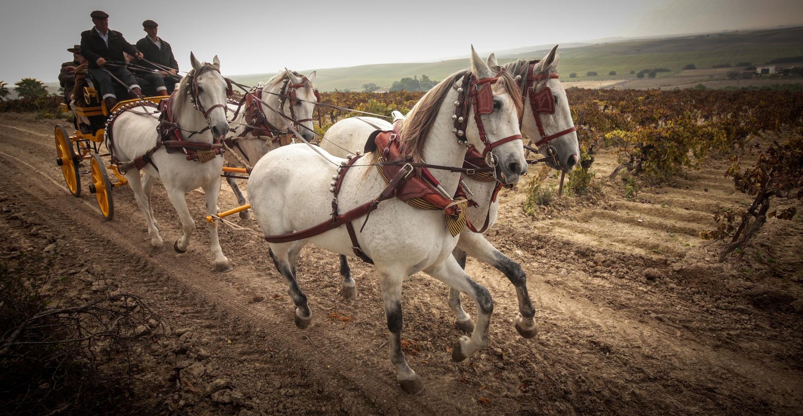 Búscate en la III Ruta Viñas de Jerez de Enganches