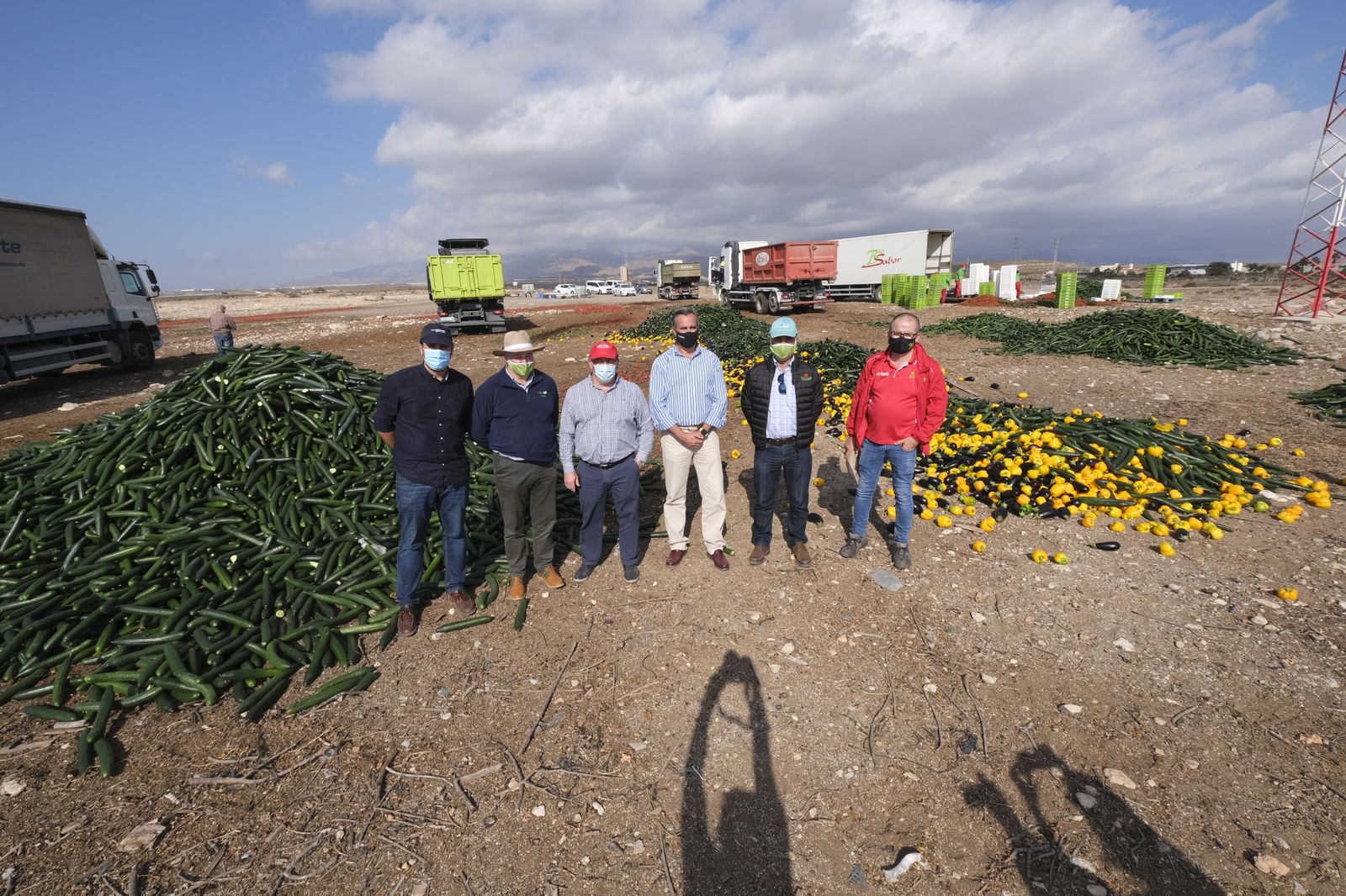 Fotogalería destrucción de pepinos en Almería