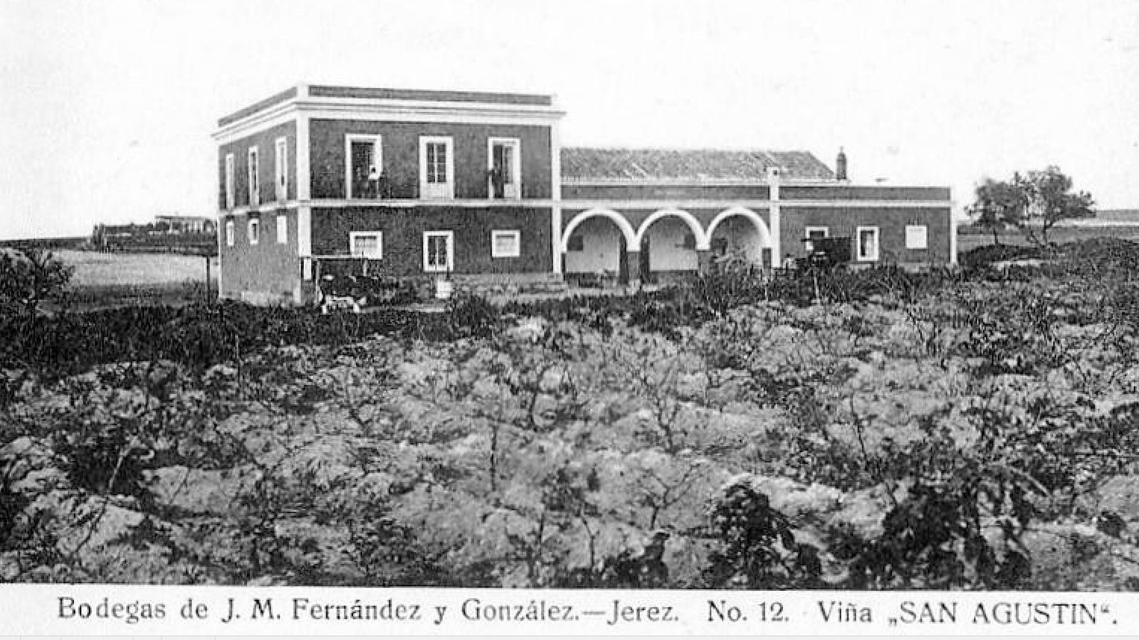 Viña San Agustín, de J. M. Fernández González.