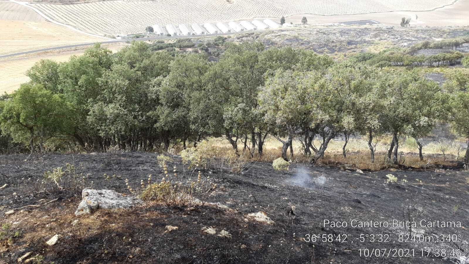 Incendio forestal de Cañete La Real.