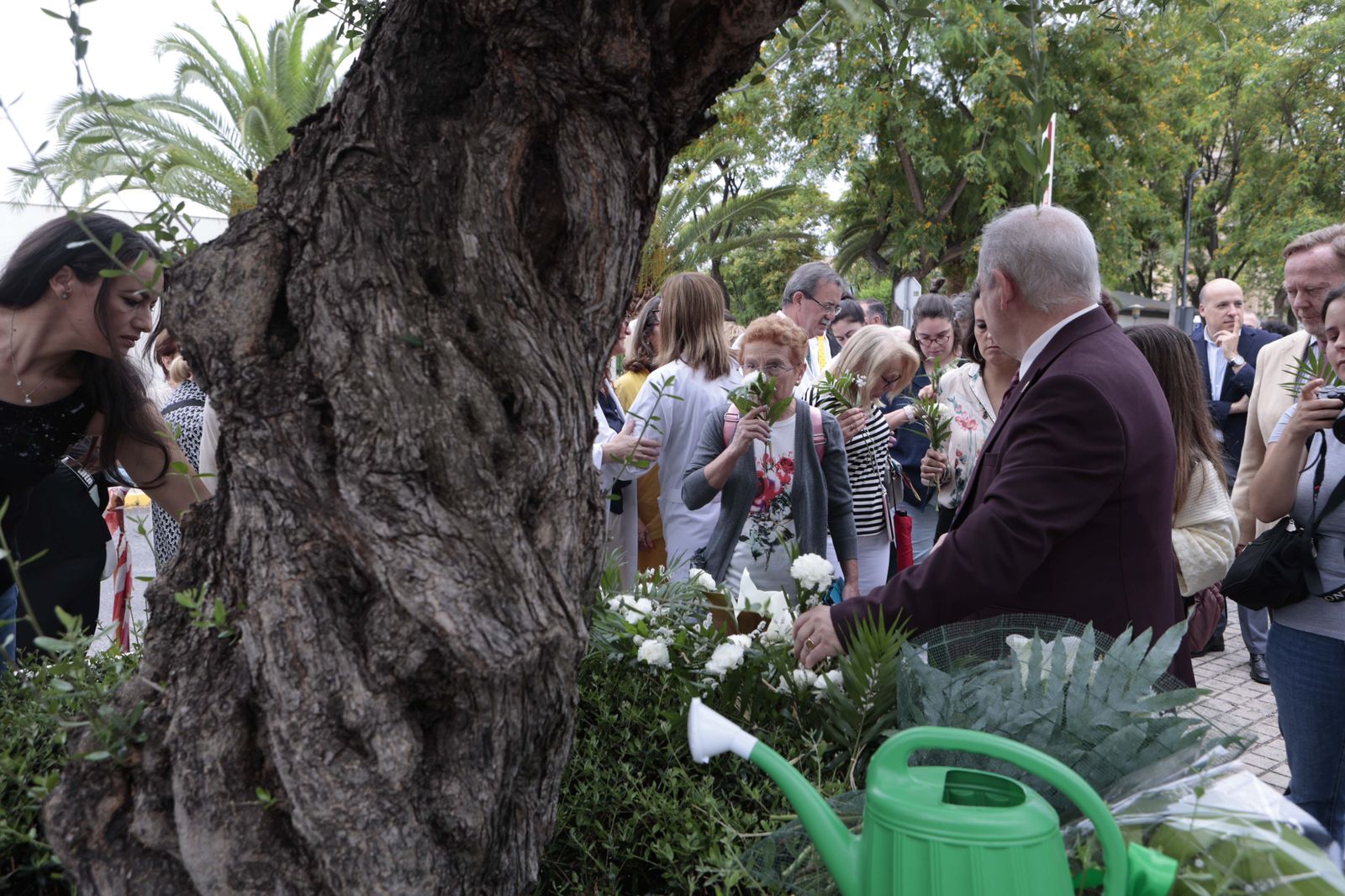 Día Nacional del Donante de órganos