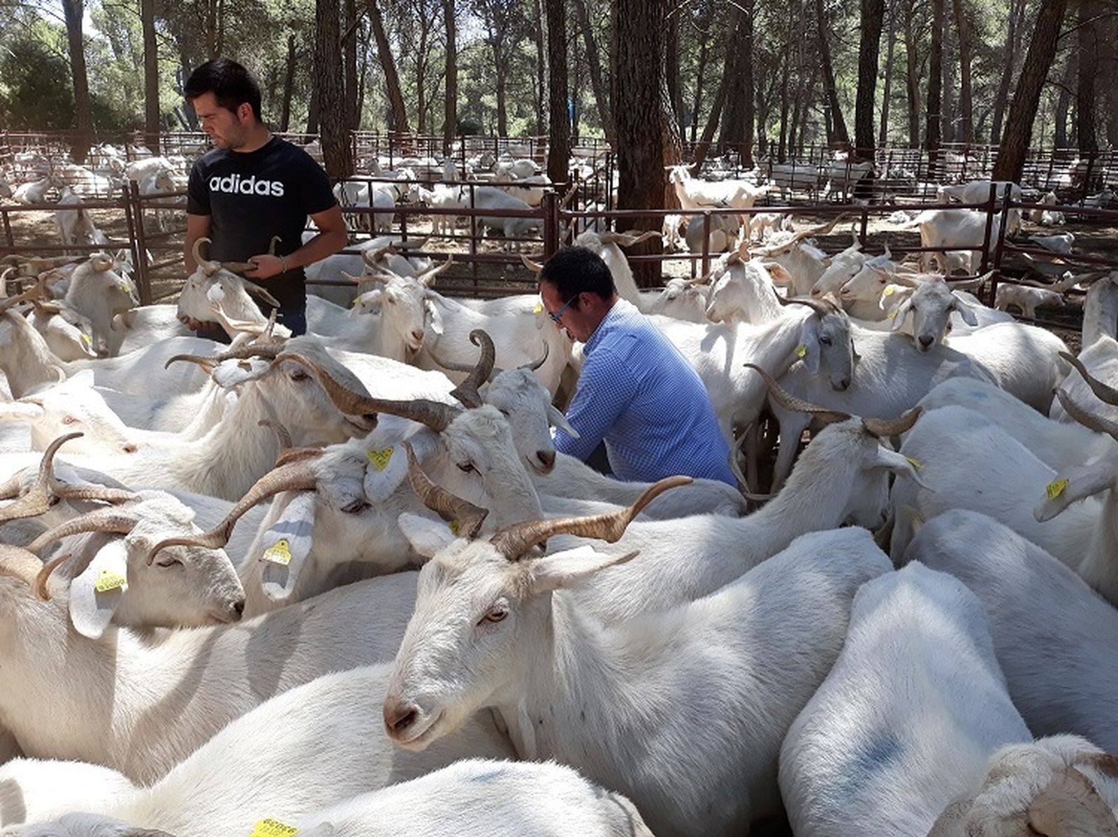 Participantes de una pasada edición de la Escuela de Pastores.