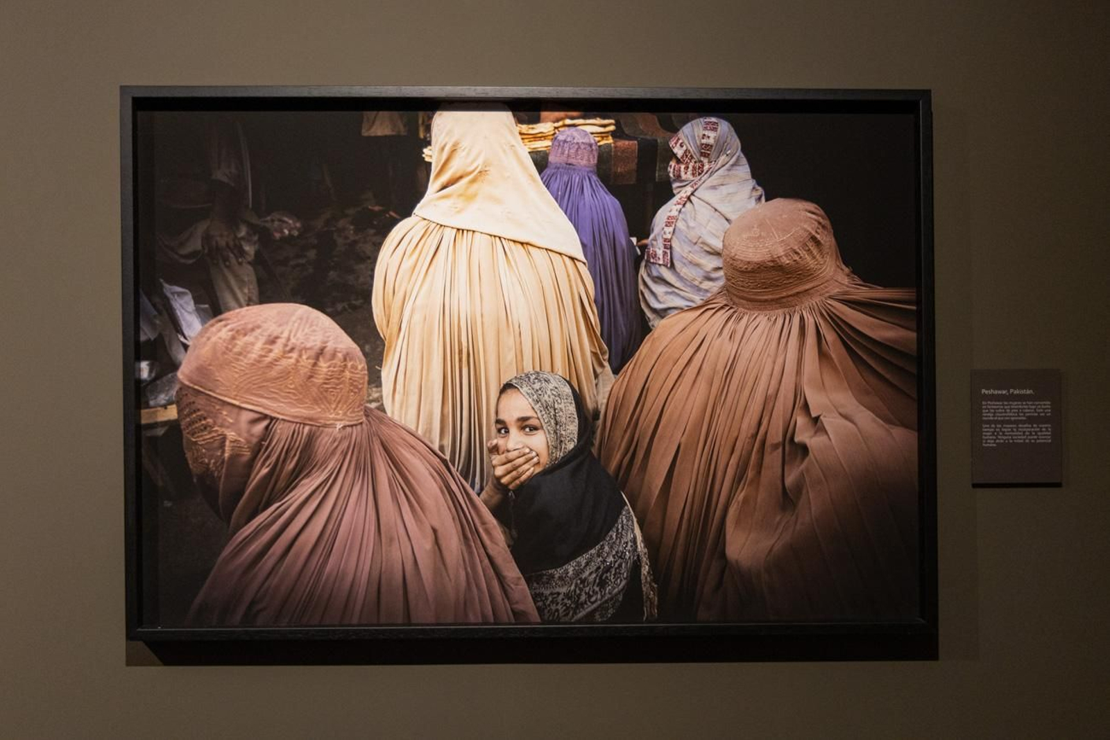 One Health en imágenes: la fotogalería de Katy Gómez que te hará reflexionar sobre la salud global