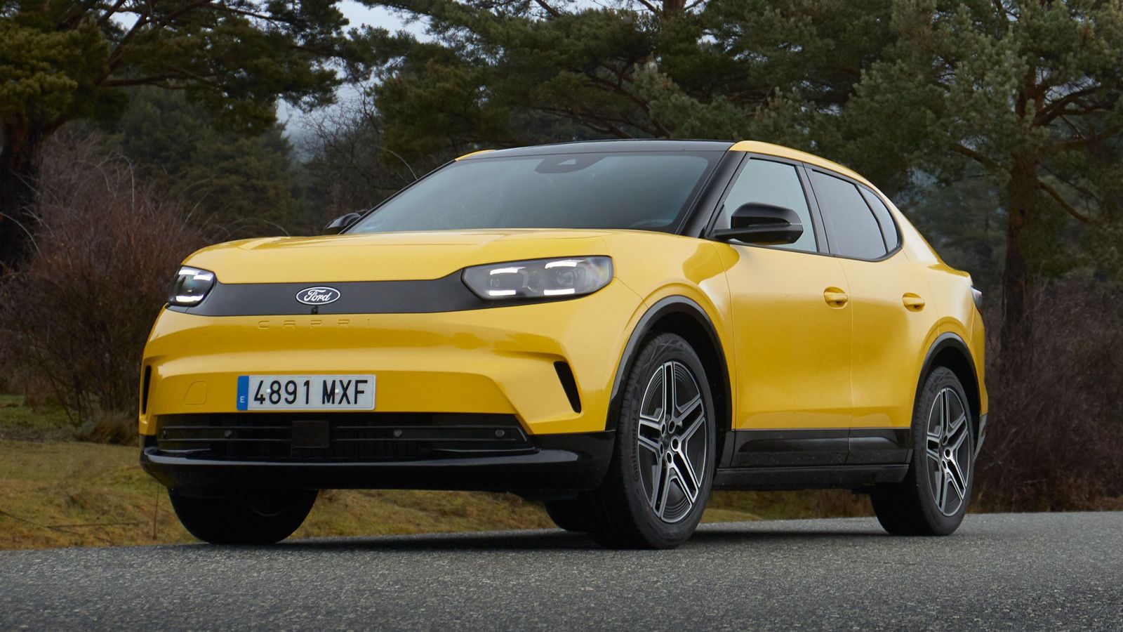 Ford ya cuenta en su gama con dos modelos, Capri y Explorer, que utilizan una plataforma "prestada" por otro fabricante, en estos casos la MEB de Volkswagen.