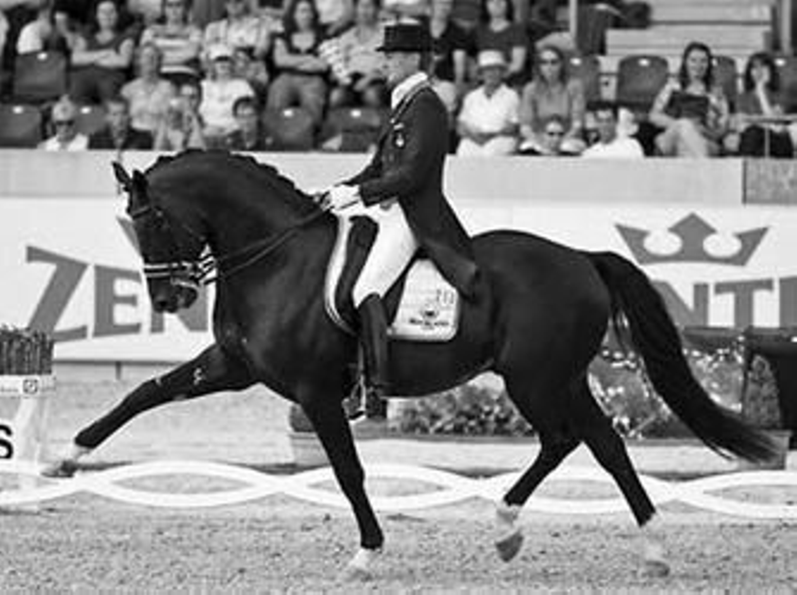 'Tolitas' durante un ejercicio de doma clásica.