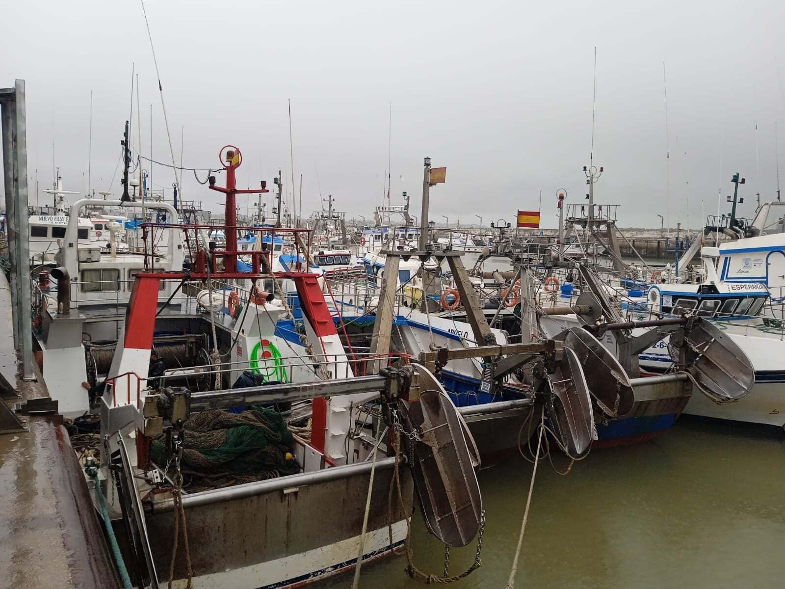 Barcos pesqueros amarrados en el puerto de Sanlúcar.
