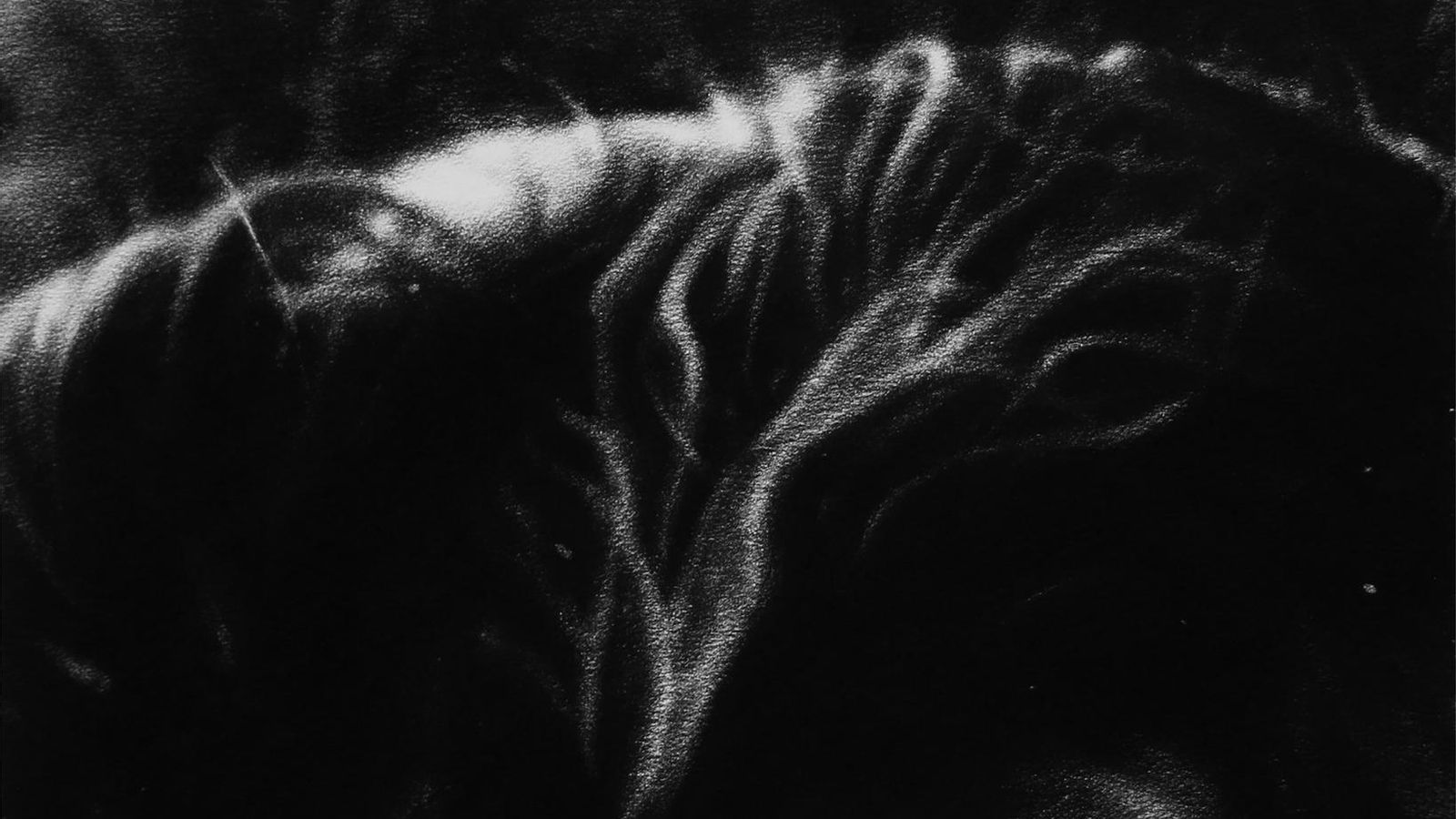 Martínez Bellido trabaja la huella de luz de modo muy personal.