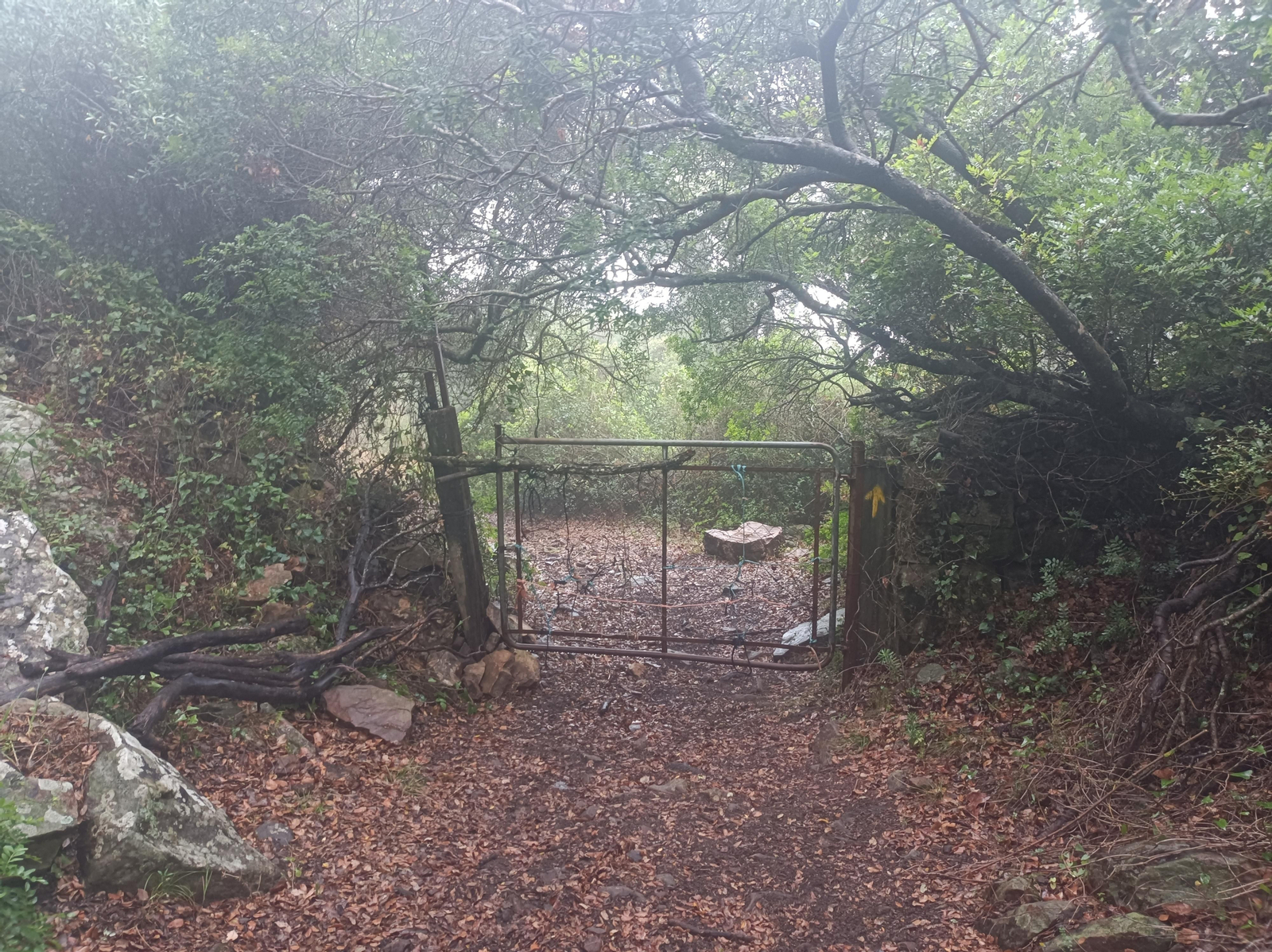 Tras esta puerta empieza el descenso.