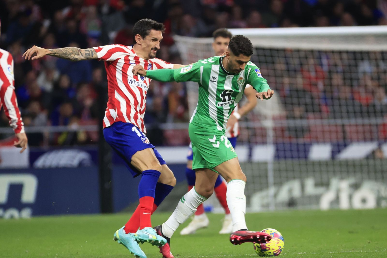 Las fotos del Atlético Madrid - Betis