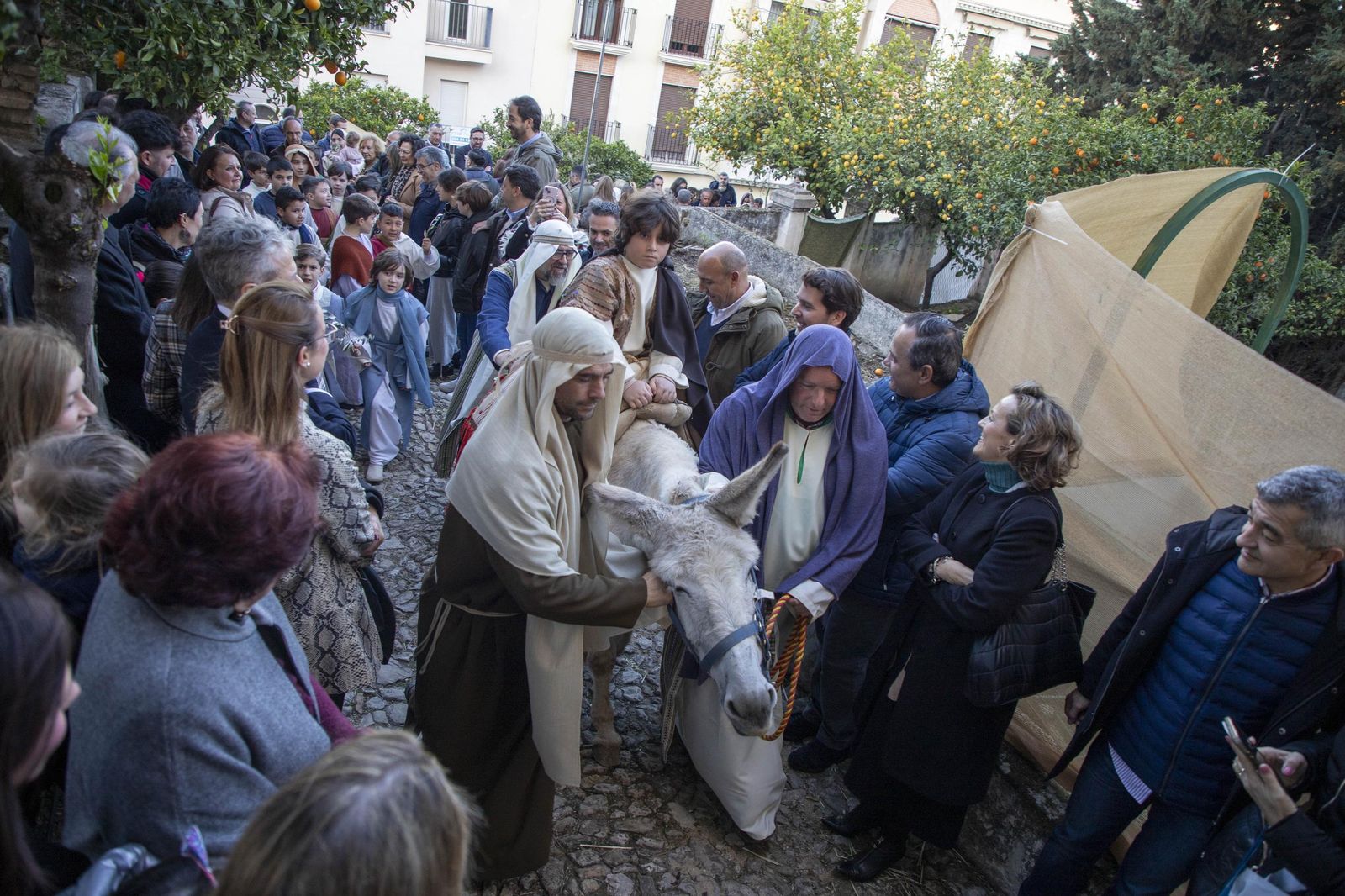 Las mejores imágenes de la Pasión infantil de Cabra