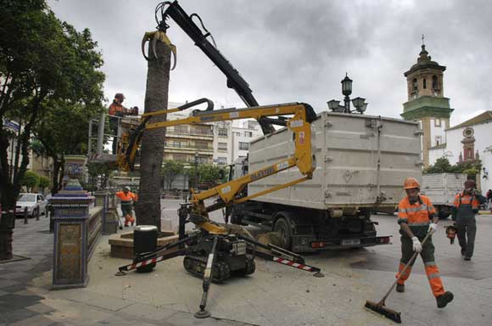 Tras estar afectadas por el picudo rojo, 14 de las que habían han sido taladas por la base, y las otras dos apenas levantan un par de metros./Fotos:Erasmo Fenoy

Foto: Erasmo Fenoy