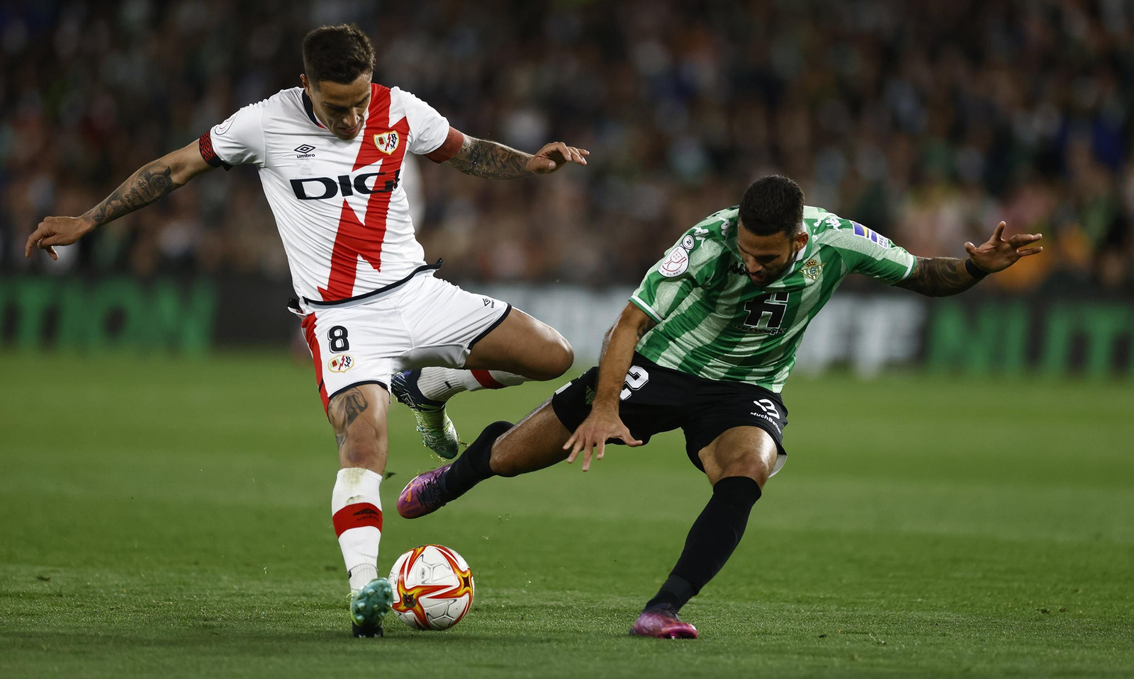 Las imágenes del Betis-Rayo