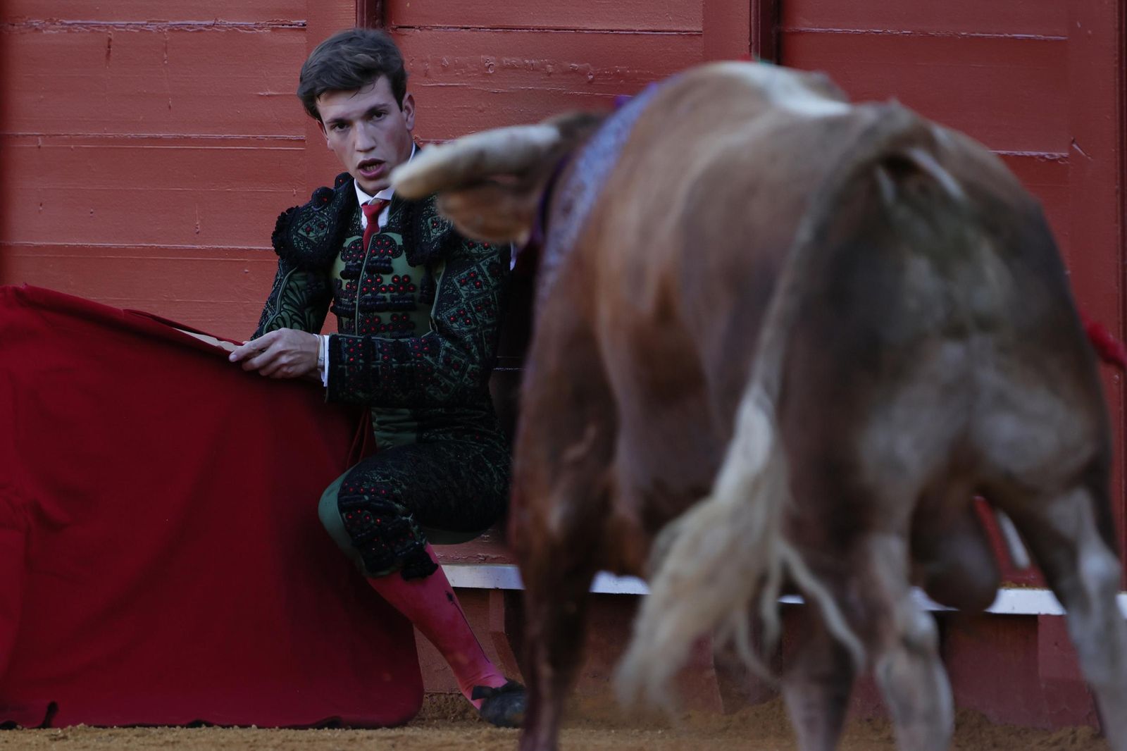 Las imágenes de la Novillada