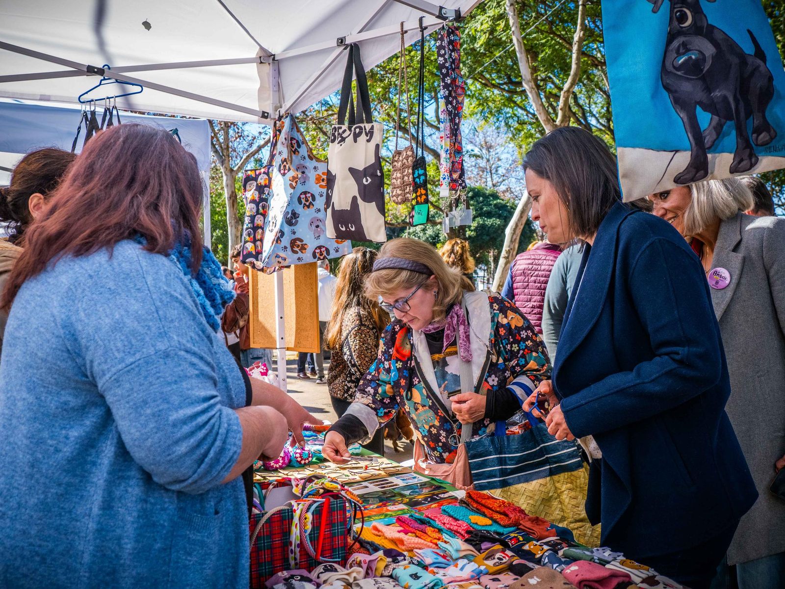 Las imágenes de San Antón 2025 en San Fernando