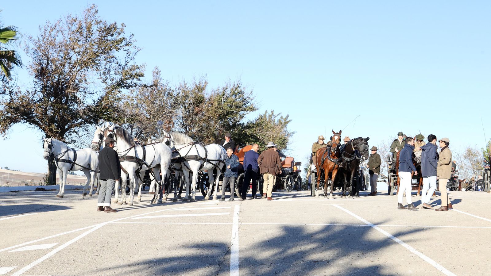 II Ruta Viñas de Jerez
