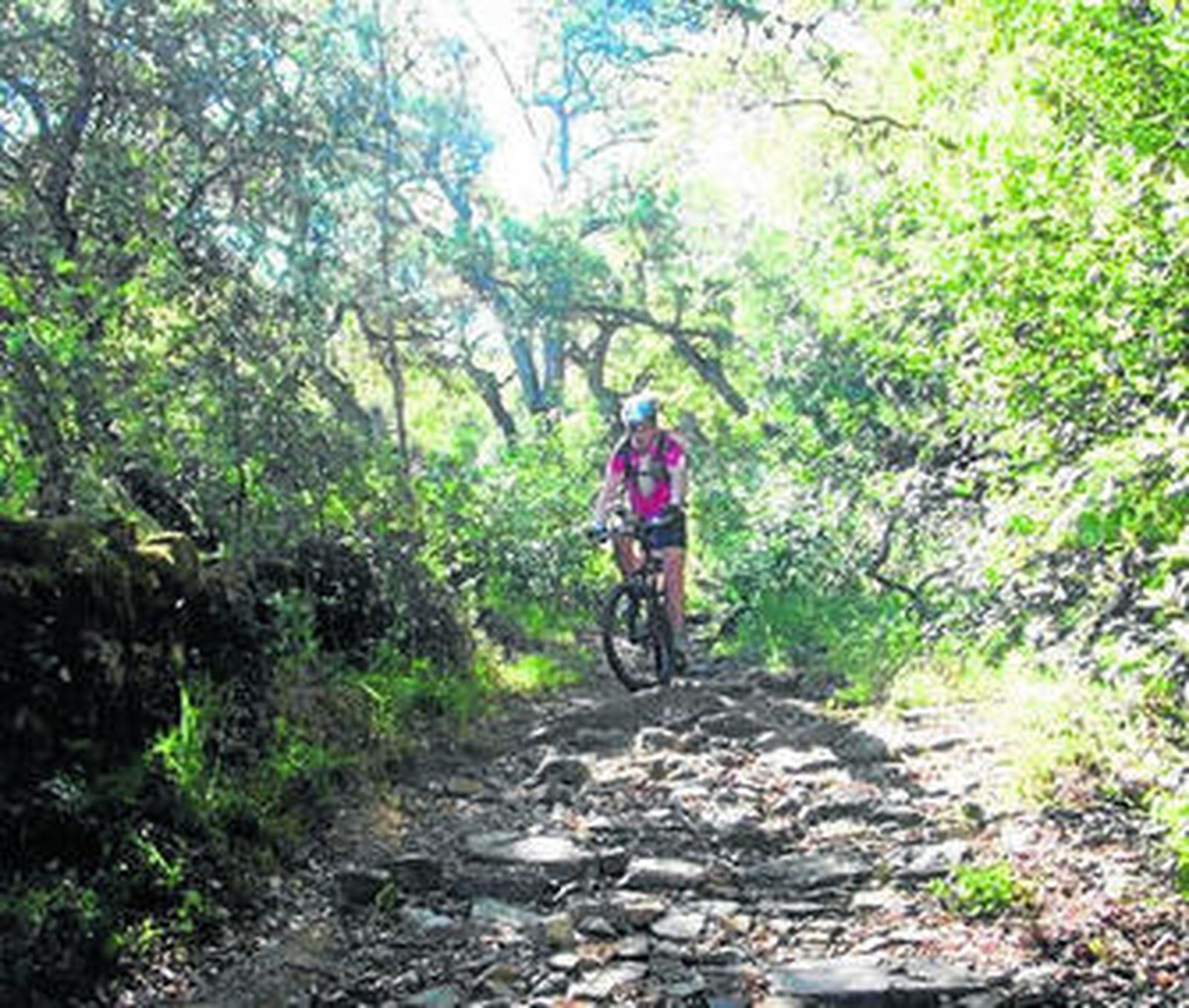 La Ruta Transándalus en la Sierra