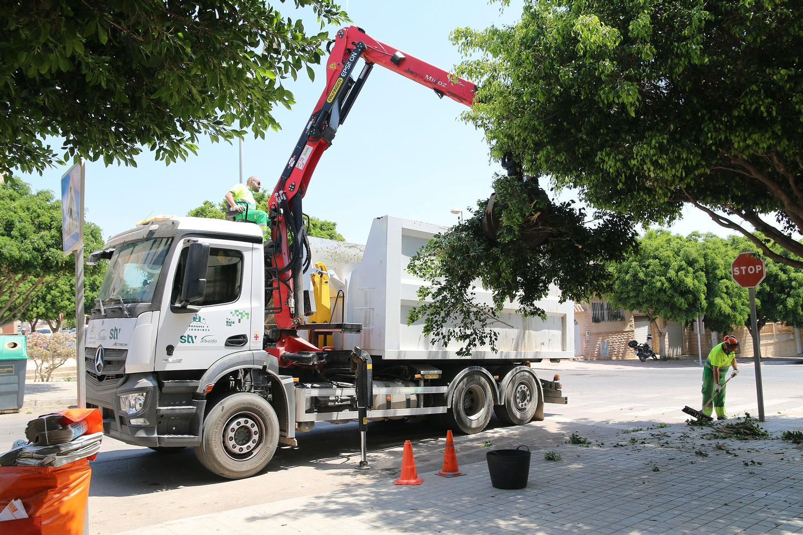 Jardineros, ayudados de maquinaria, podan el arbolado en Los Molinos